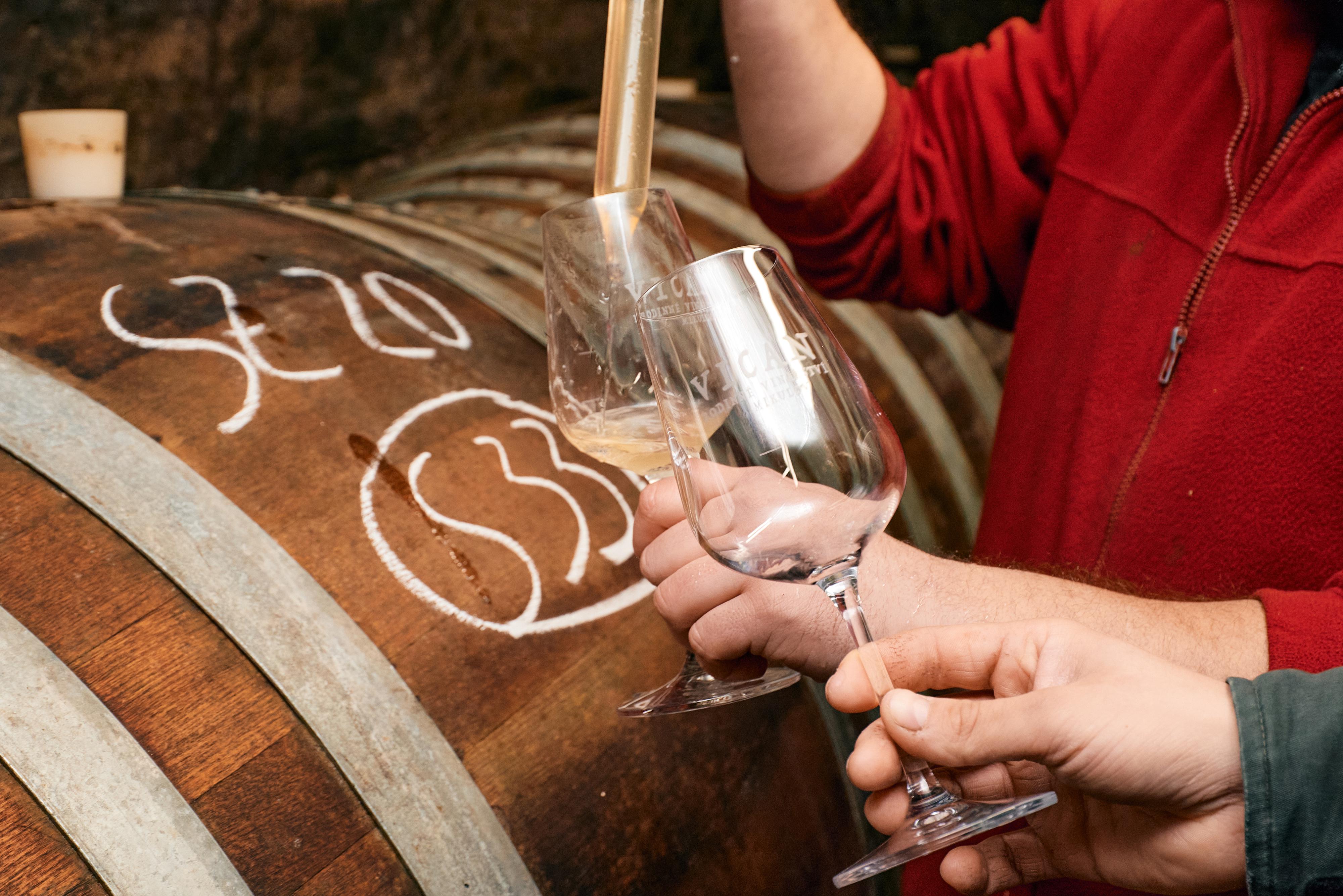 Rodinné vinařství VICAN foto 3