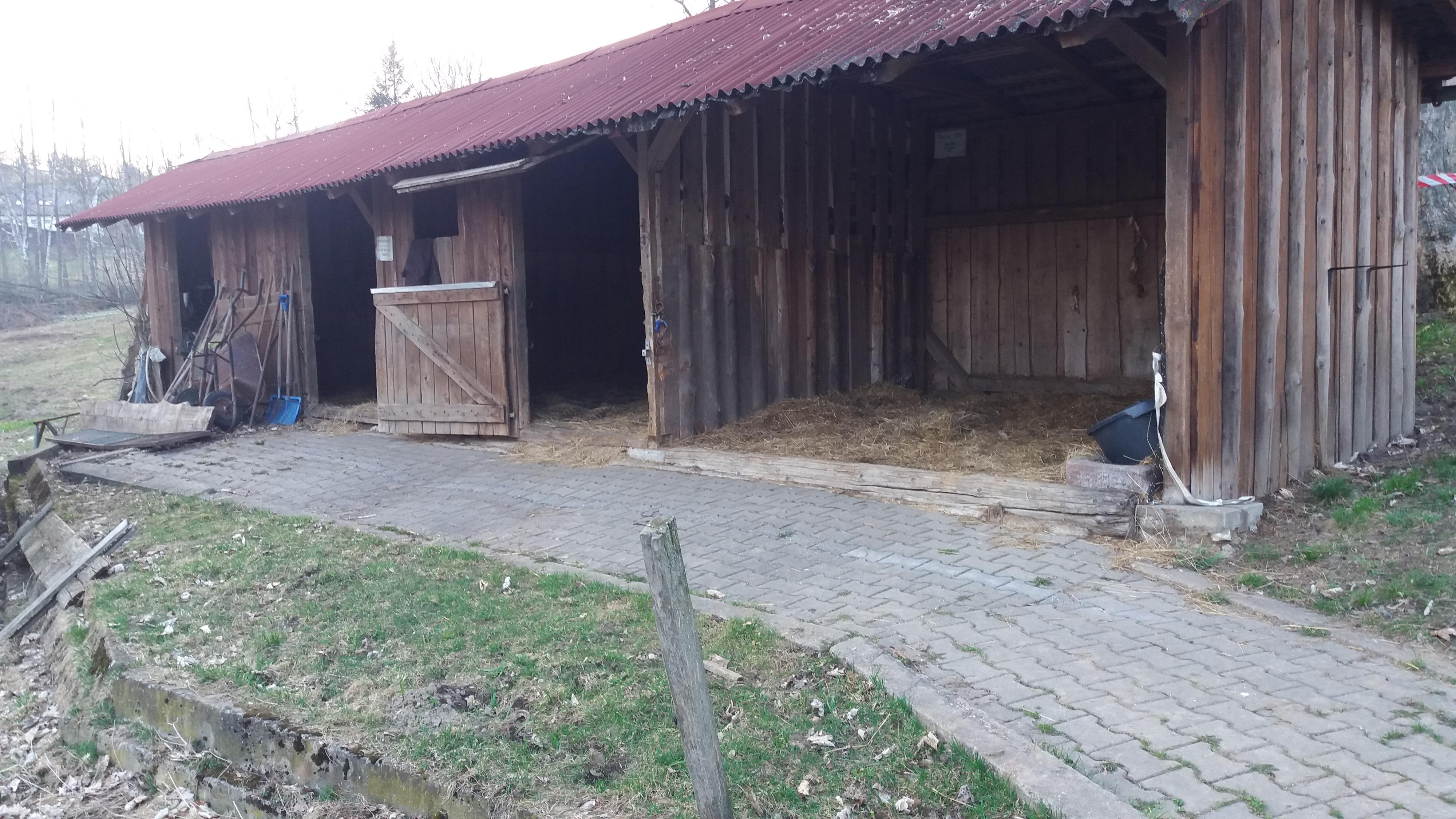 Ustájení koní Kněžice foto 5