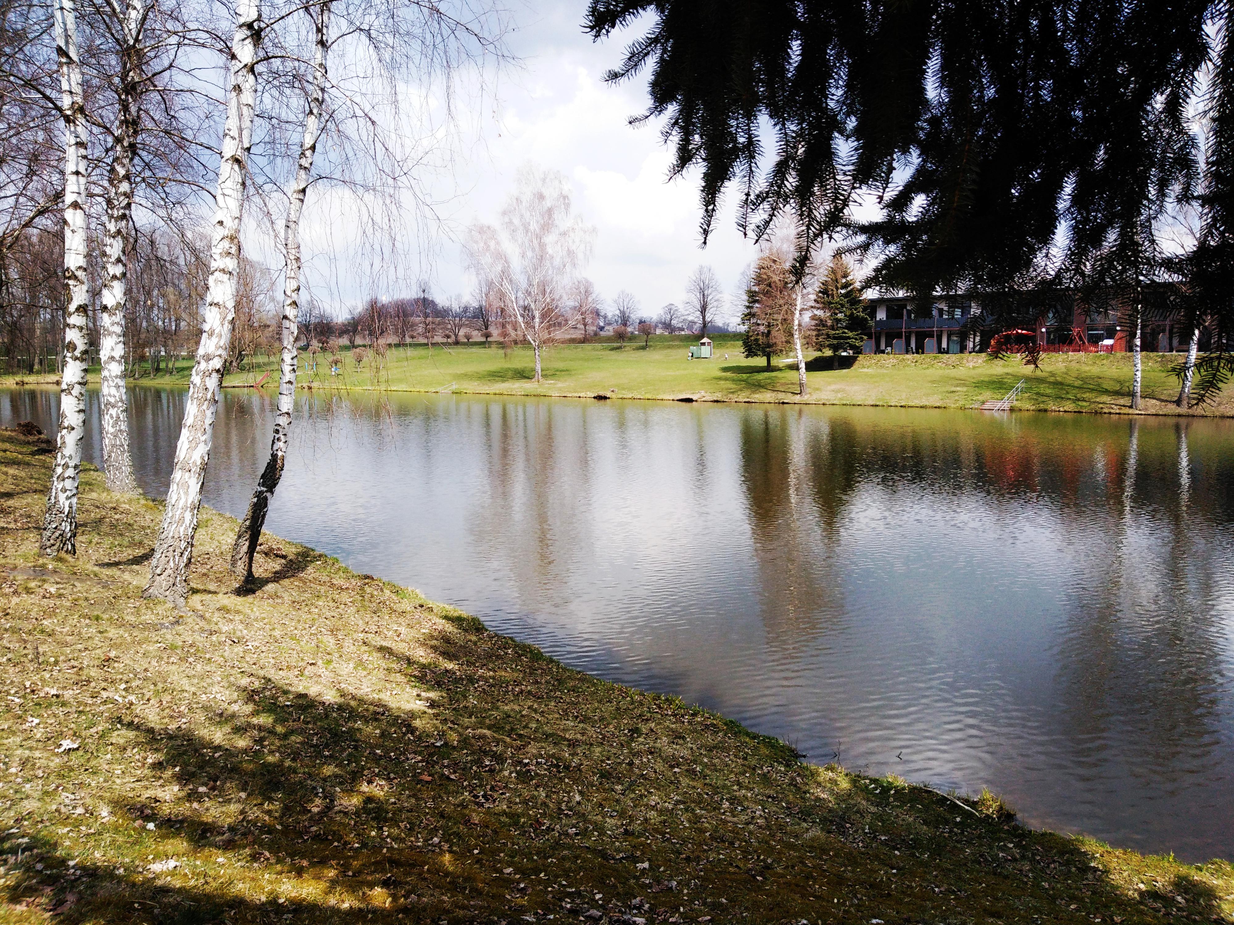 Koupaliště Kamenice nad Lipou foto 2