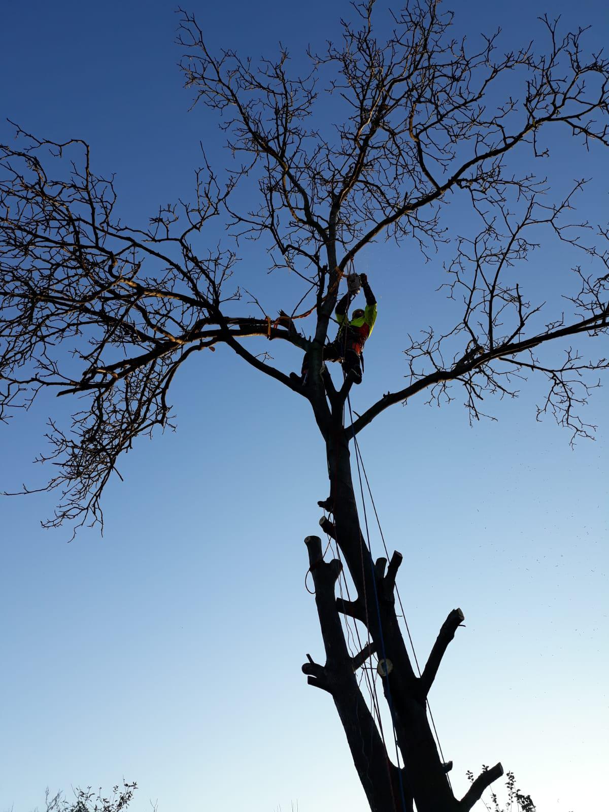 Radek Košatka foto 4