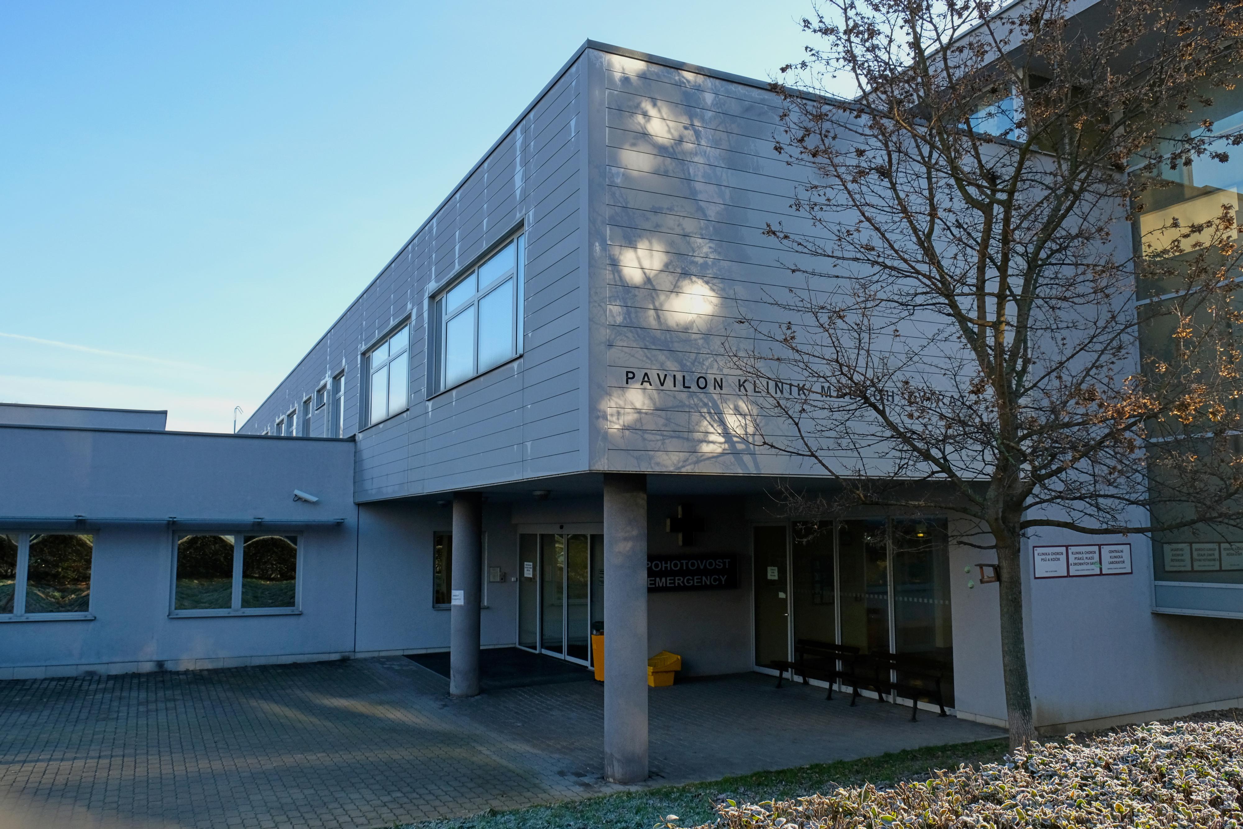 Veterinární univerzita Brno foto 3