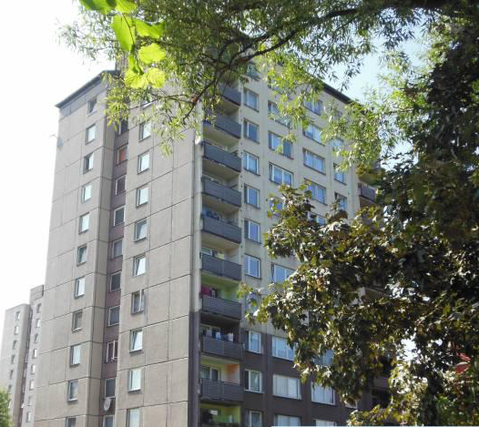 Tomáš Recman - překladatelské služby foto 2