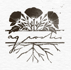 Compo Expert Blaukorn N-Max 24-5-5+2+ME Balení: 25 kg v obchodě Agrostisobchod.cz