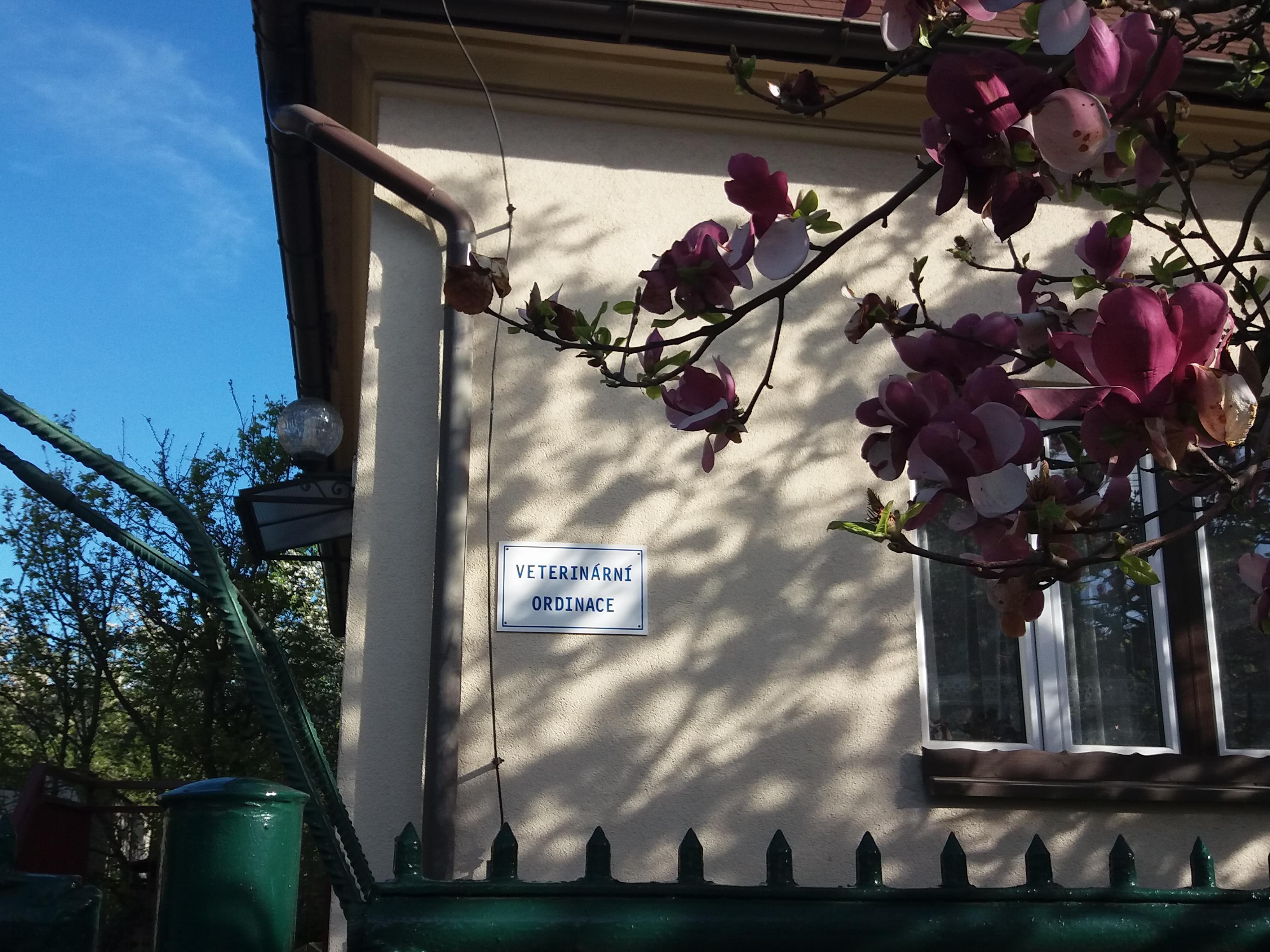 Veterinární ordinace MVDr. Markéta Valešová foto 3