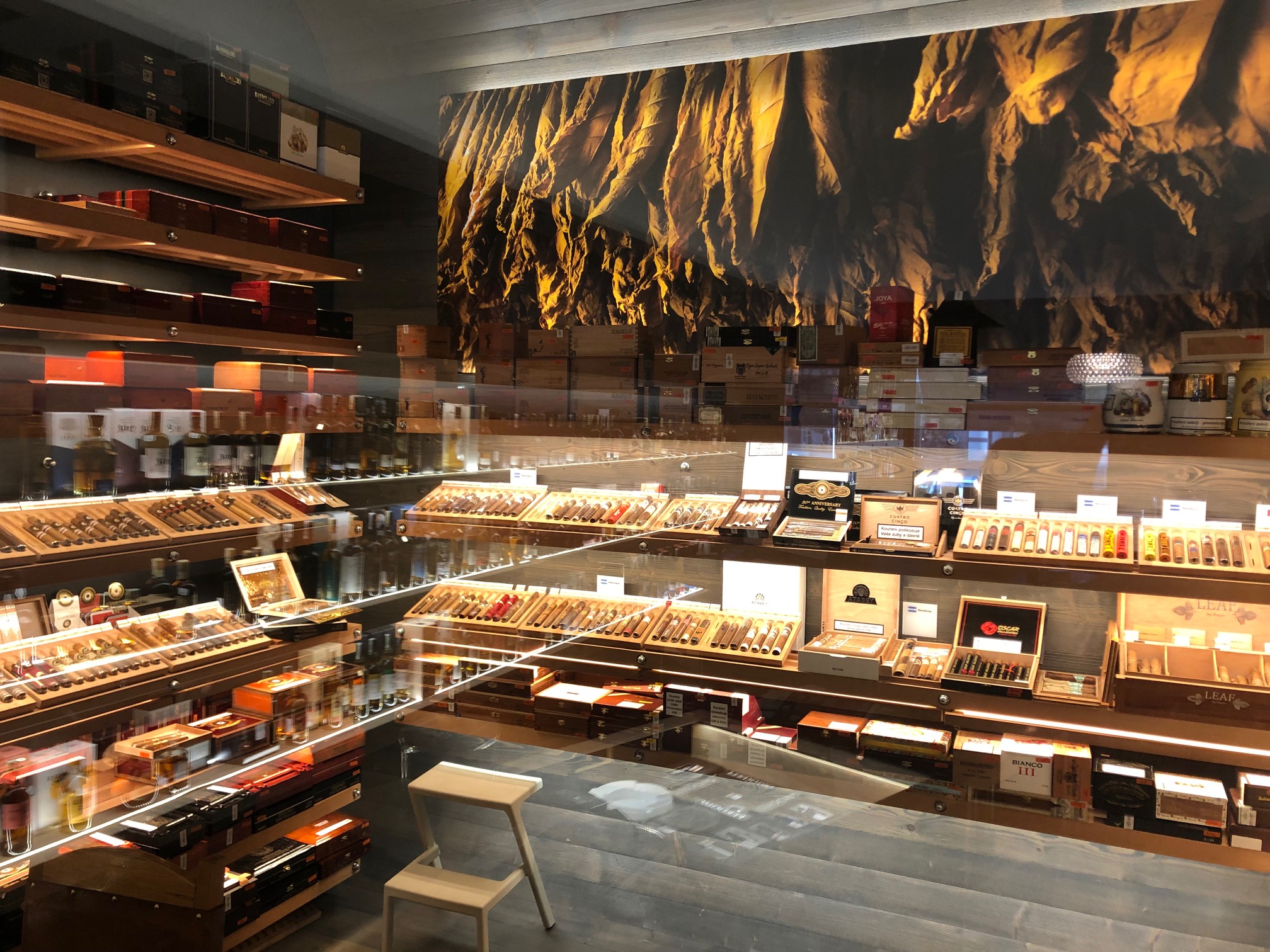 Warehouse1.cz foto 4