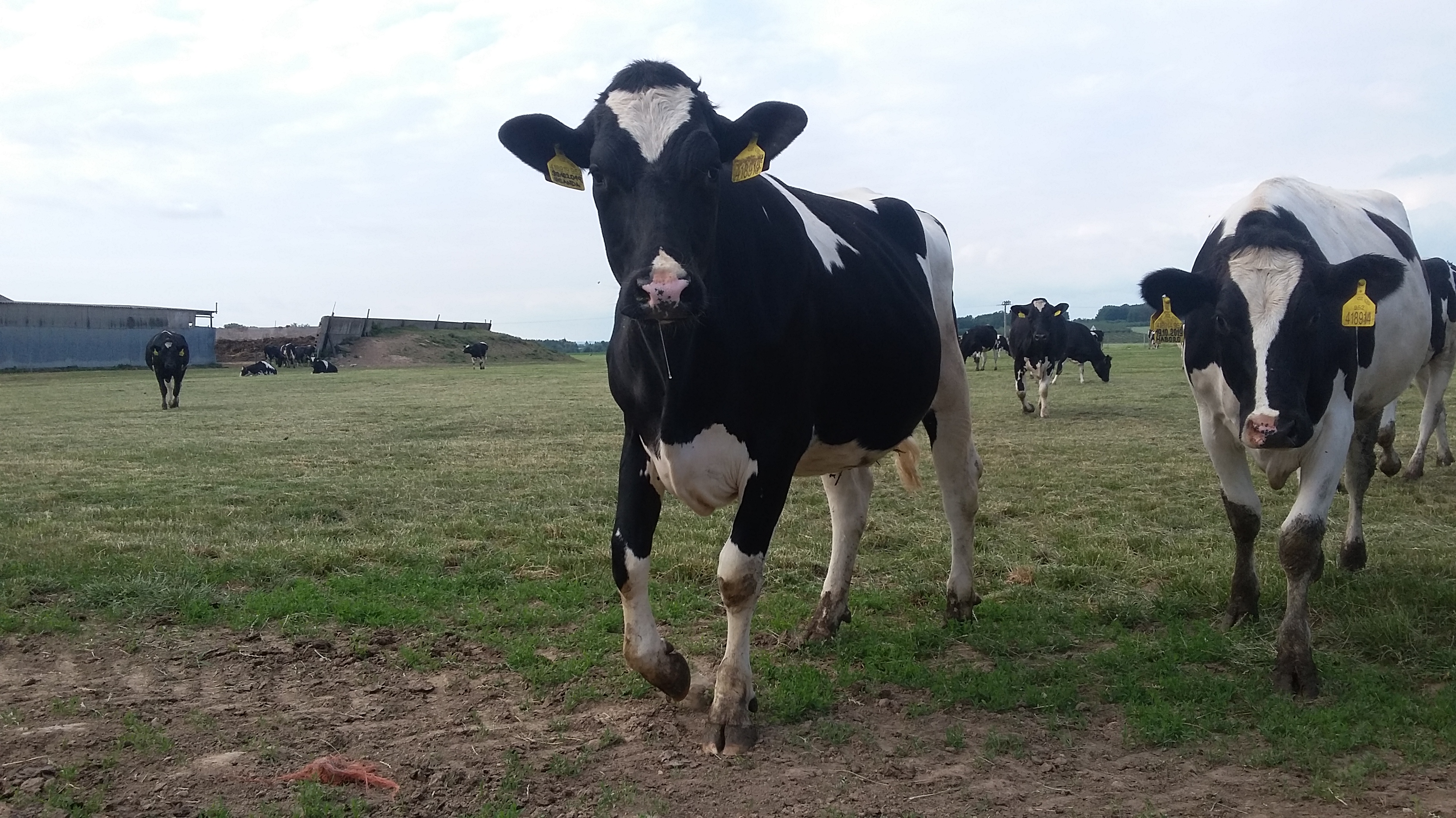 Farma Roudnice foto 2