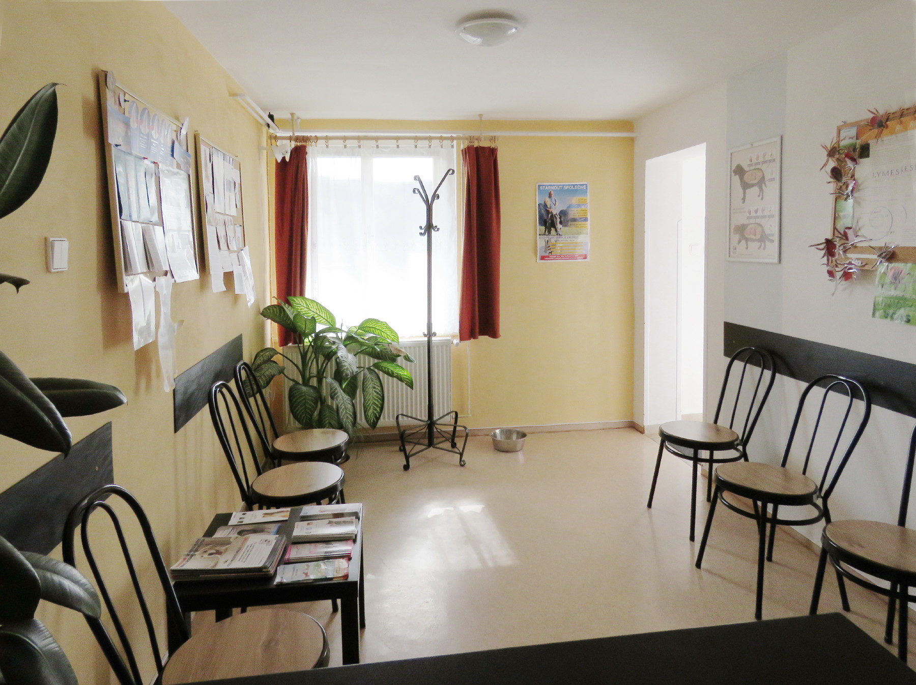 MVDr. Jana Pilgrová - Veterinární ordinace foto 4