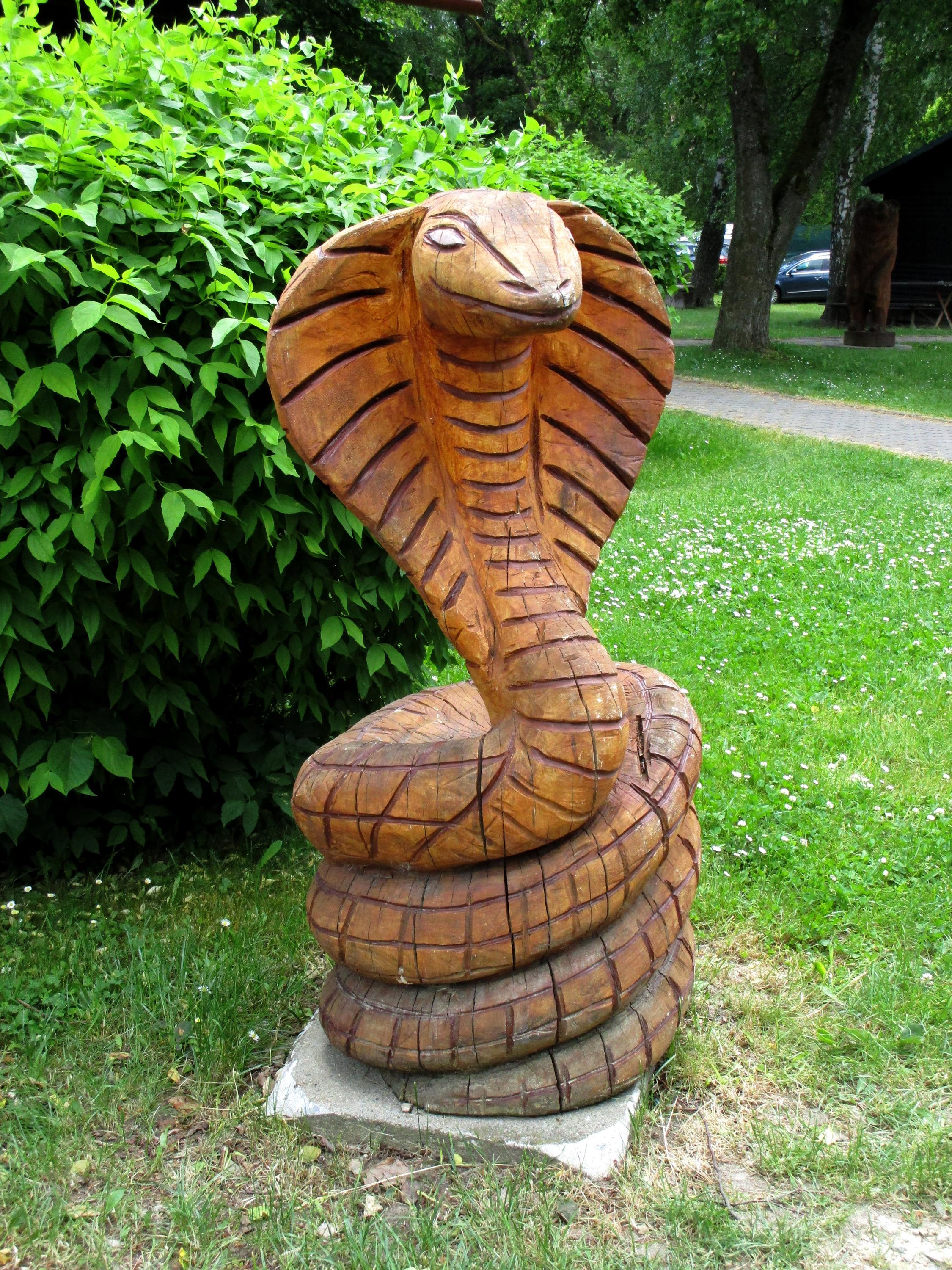 Autokemp Budišov nad Budišovkou foto 5