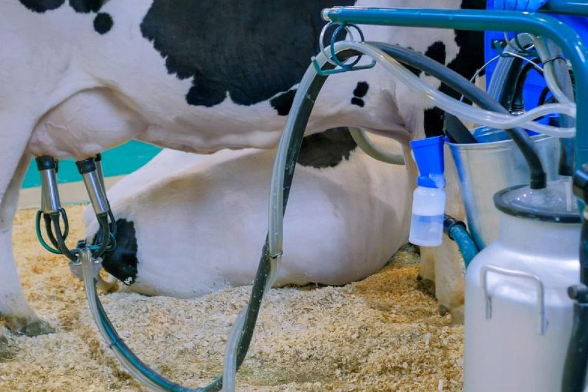 UNIPRO SERVIS, spol. s r.o. foto 1