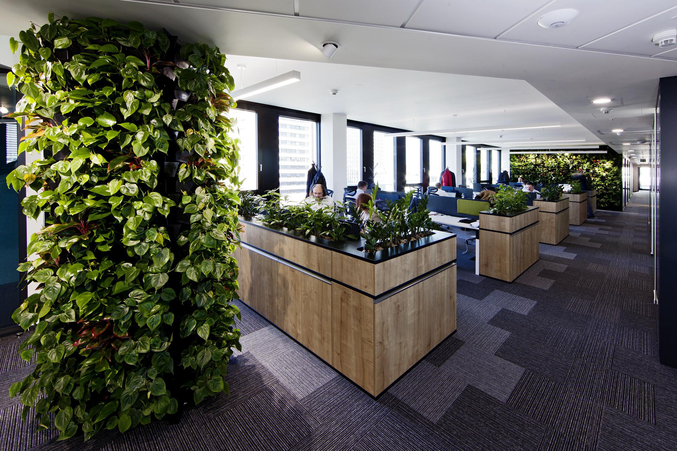 CoolPeople Technology a.s.