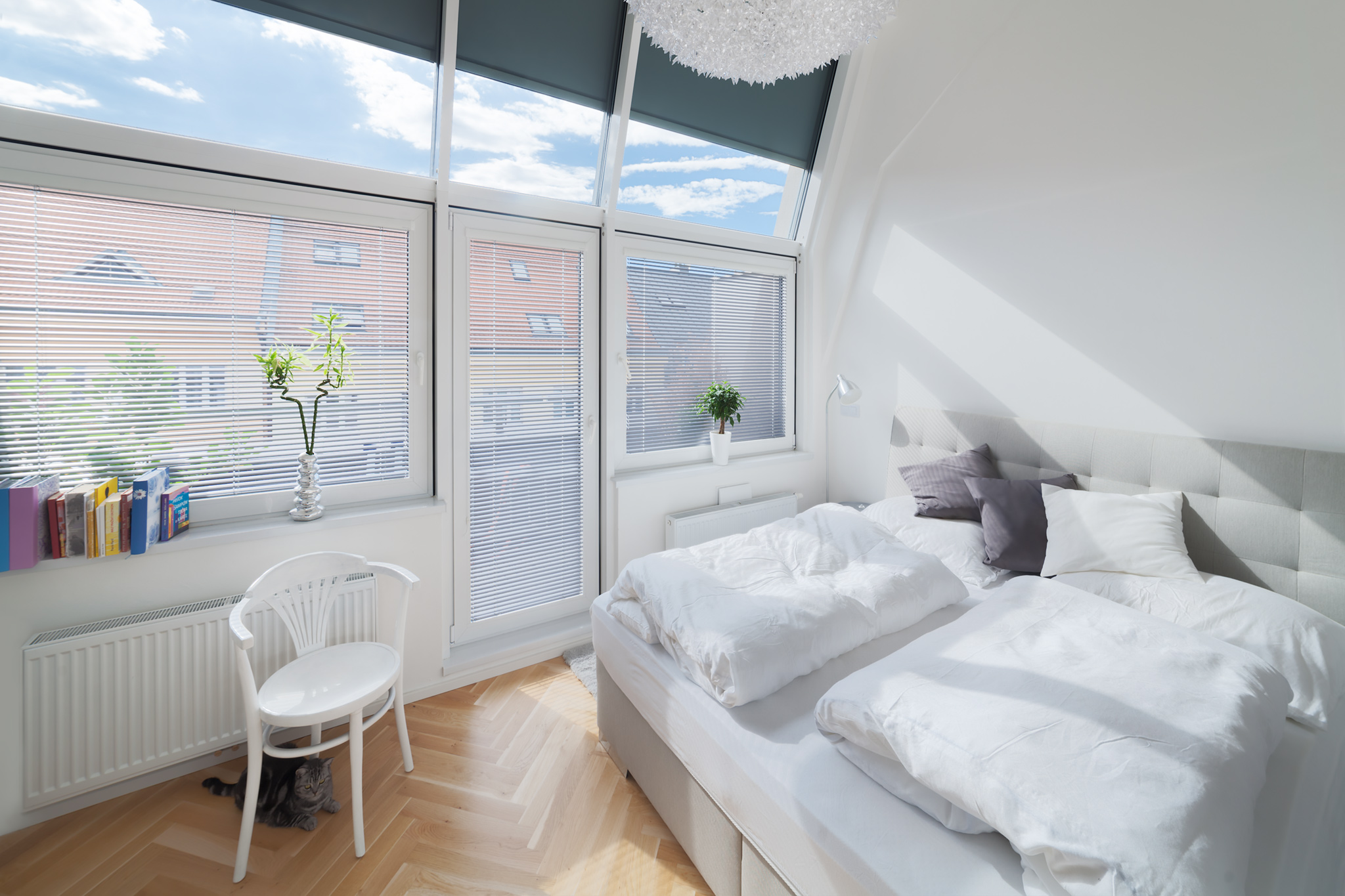 SUYS Czechia s.r.o. foto 4