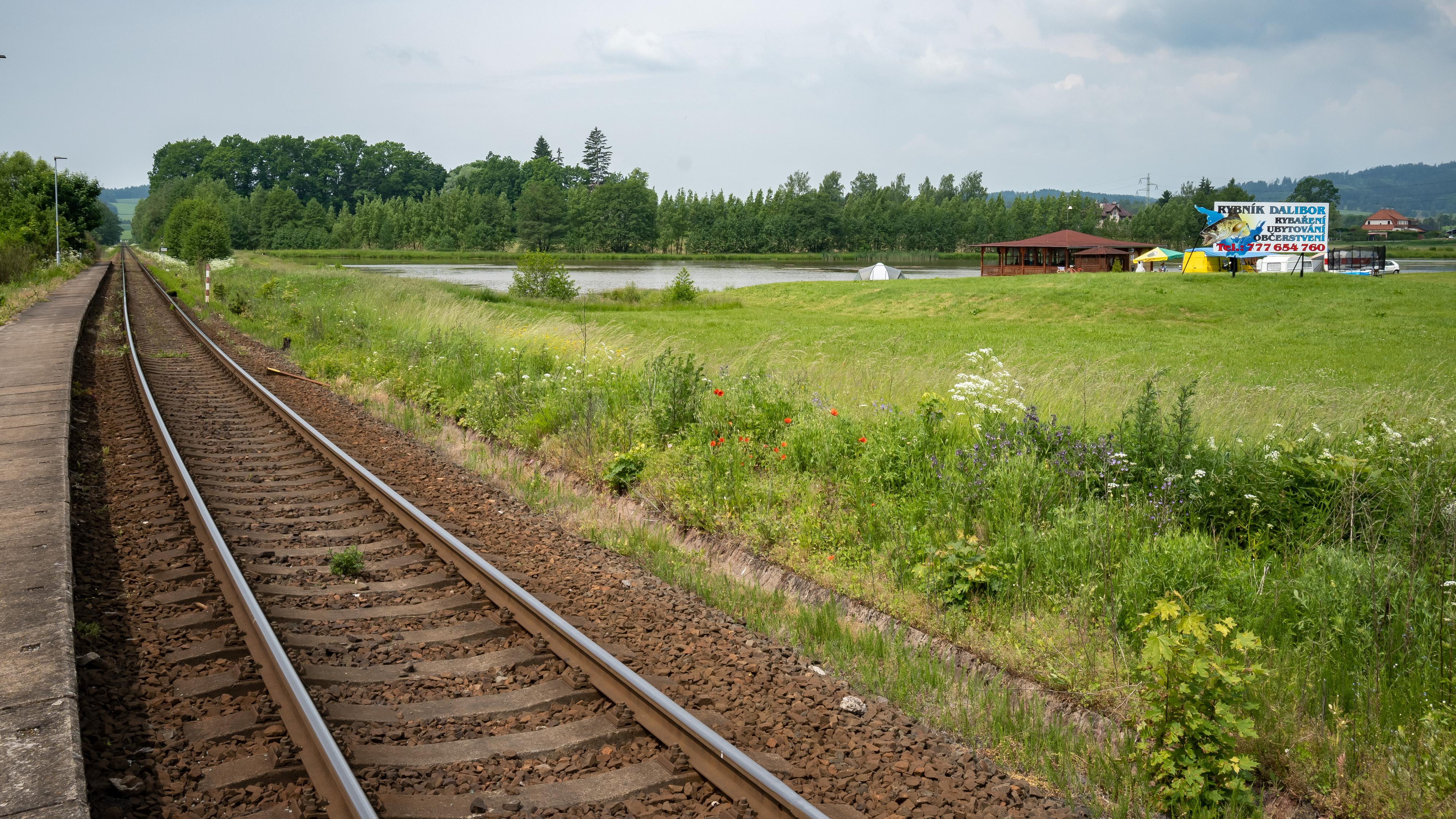 Ubytování Rybník Dalibor foto 2