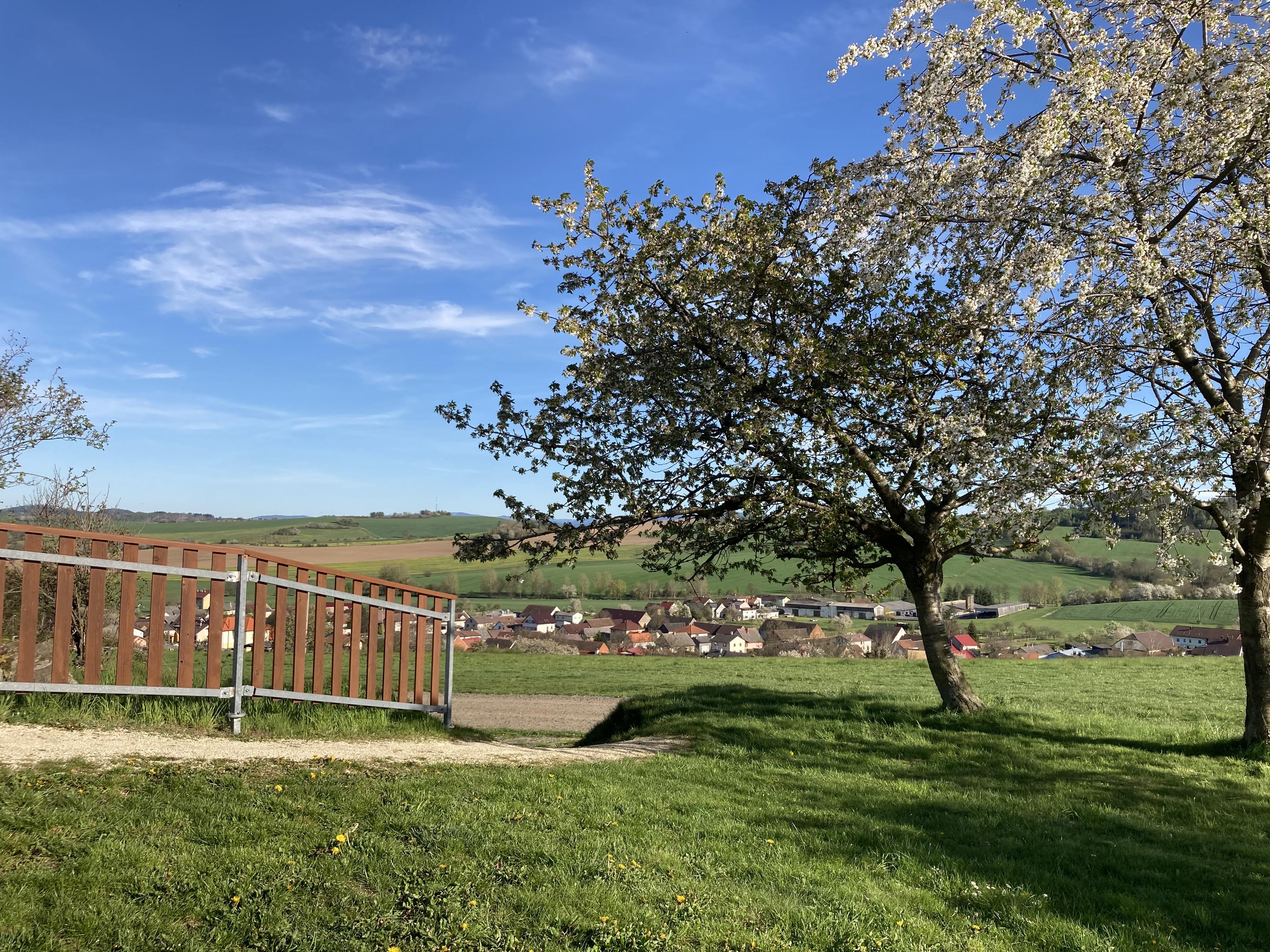 Občerstvení u koupaliště Babylon foto 6