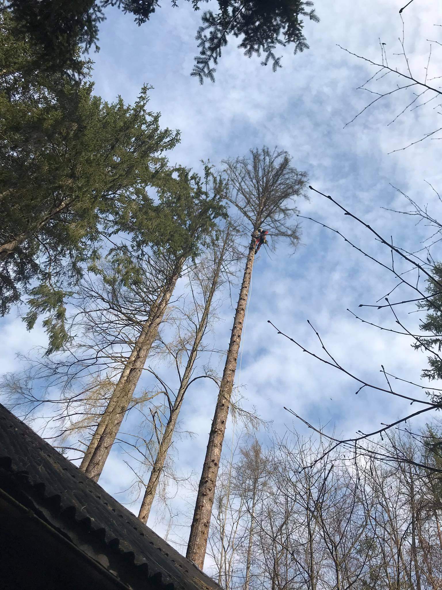 DREAMTREE - Tomáš Voves foto 6