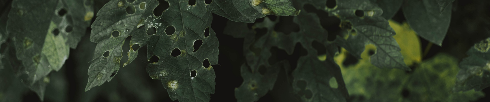 Cover image Hubeni-skudcu.cz