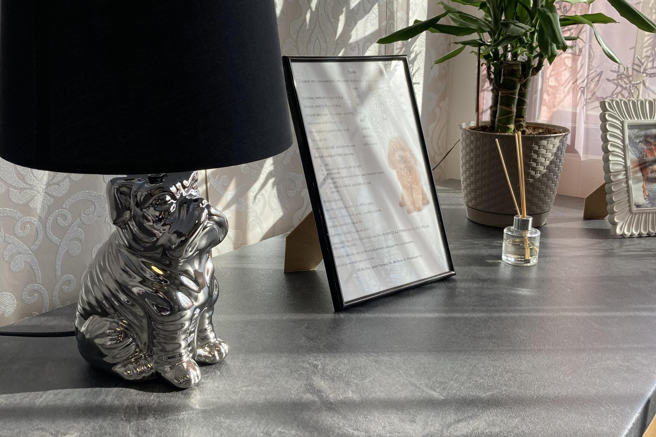 Oh my dog -  psí salon & wellness