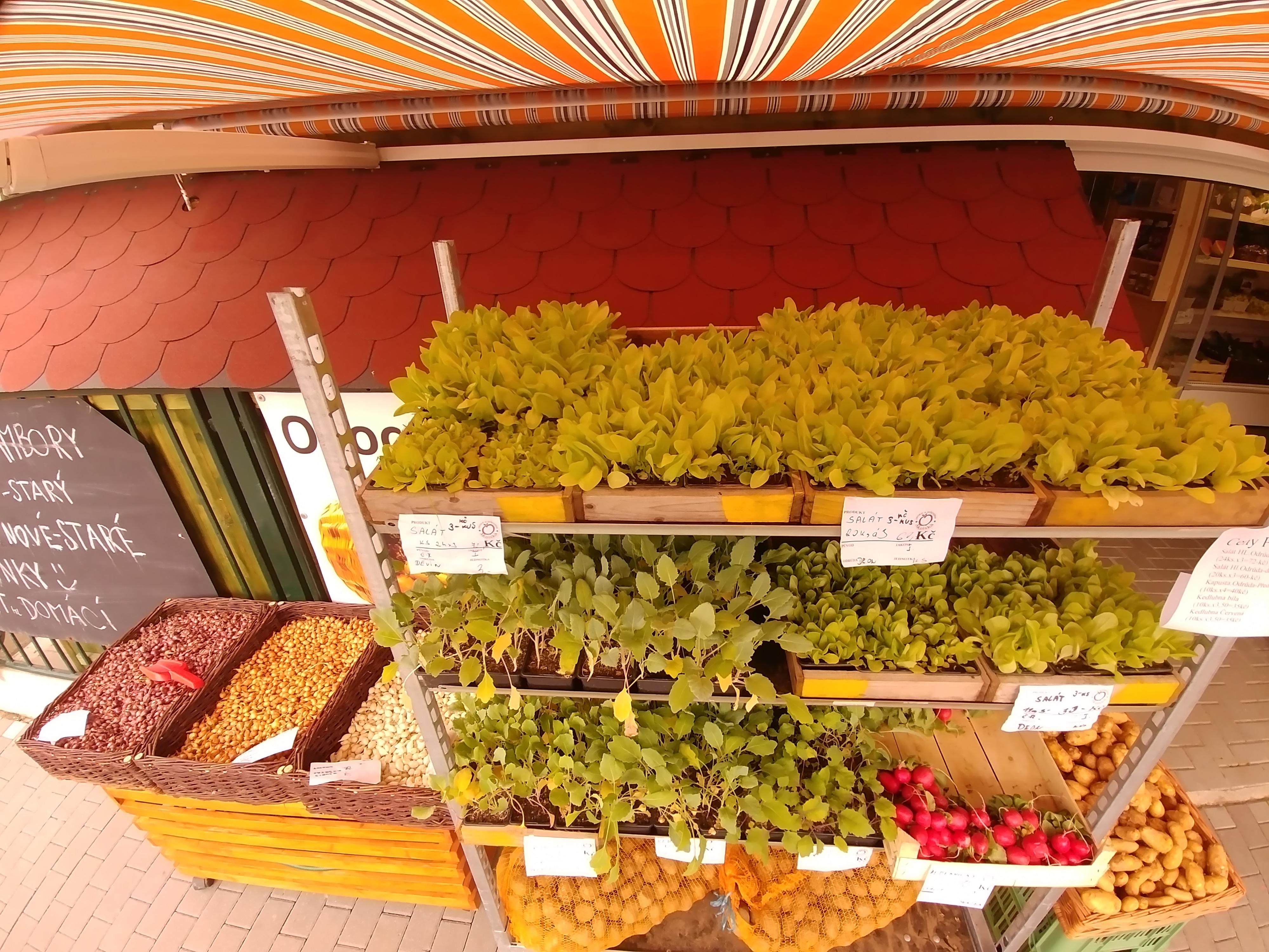 Ovoce Zelenina Školská foto 4