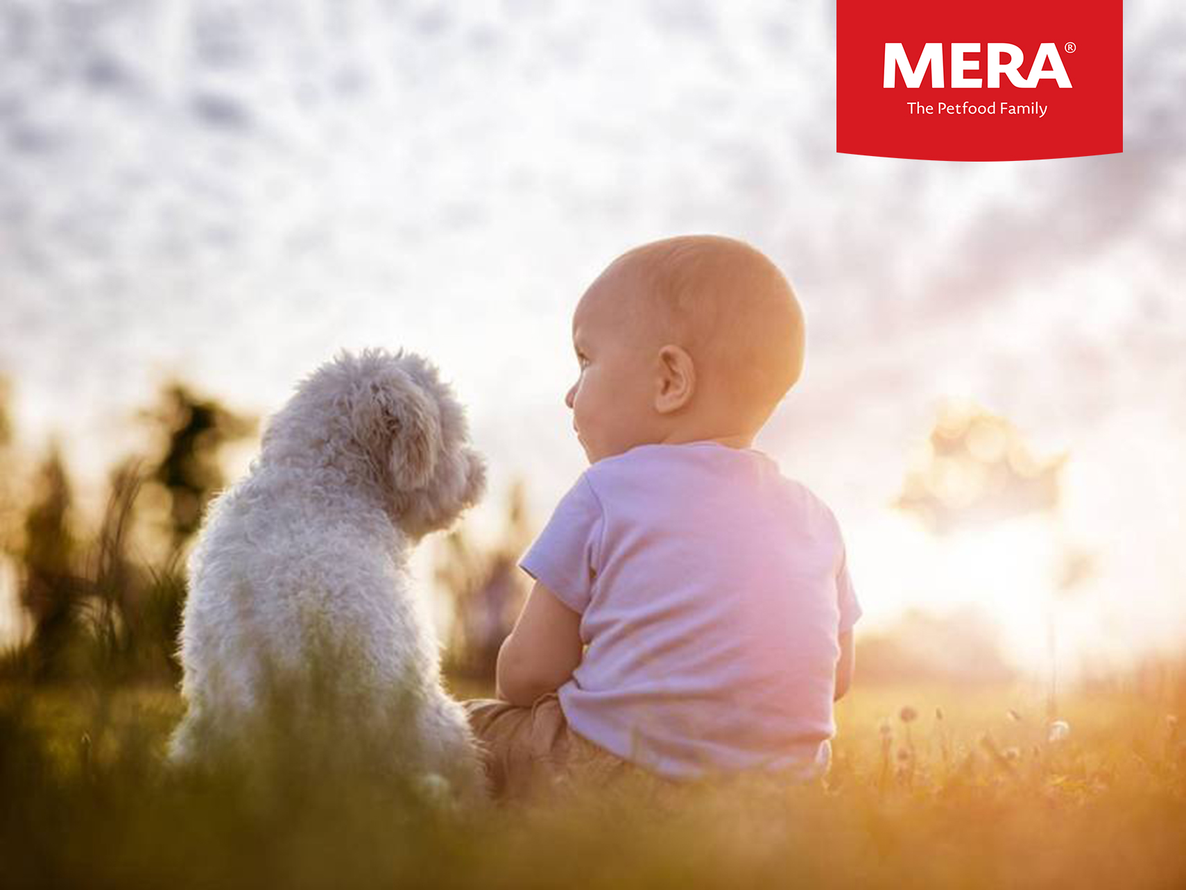 Meradog.cz foto 5