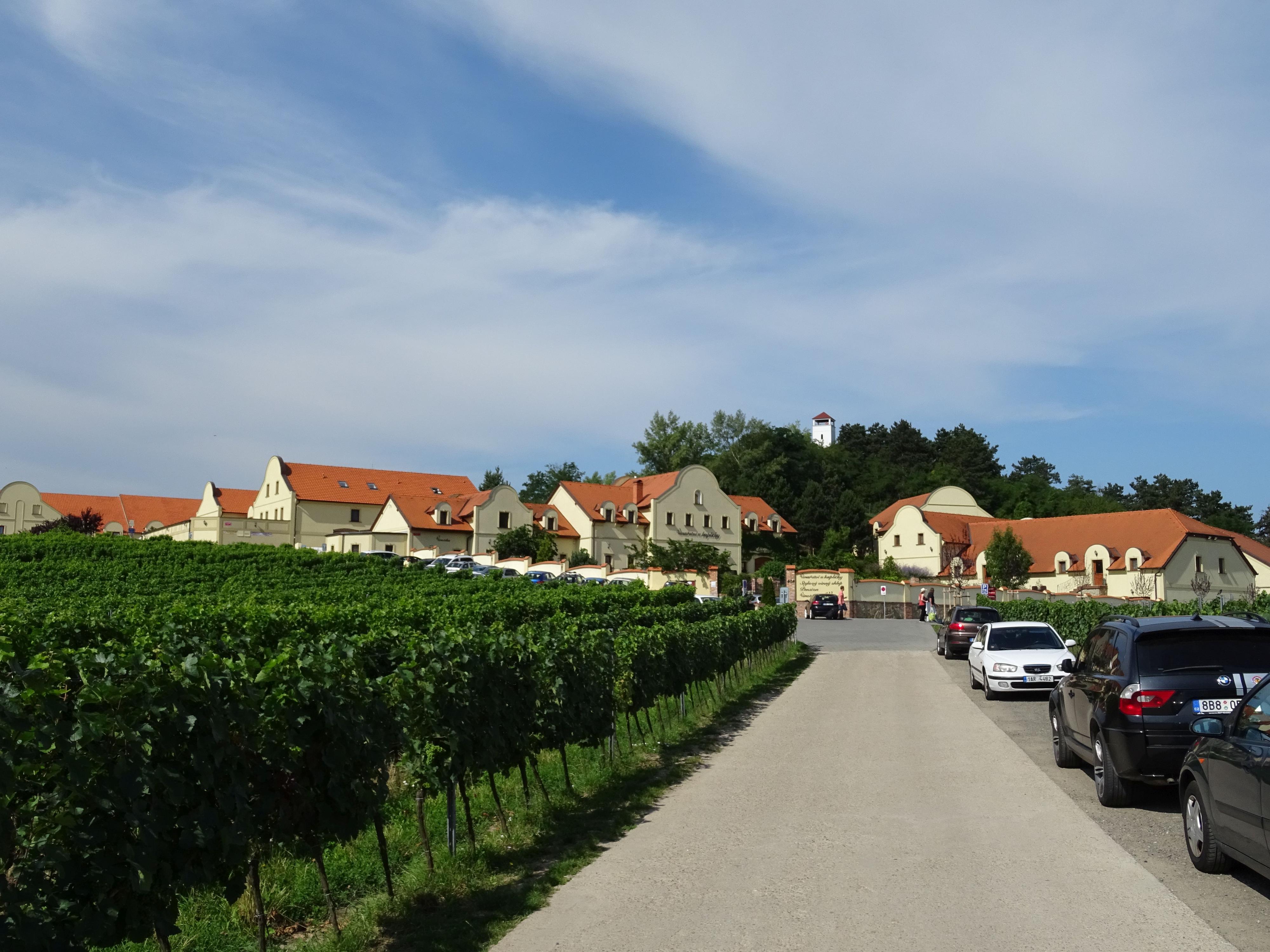 Vinařství U Kapličky, s.r.o. foto 6