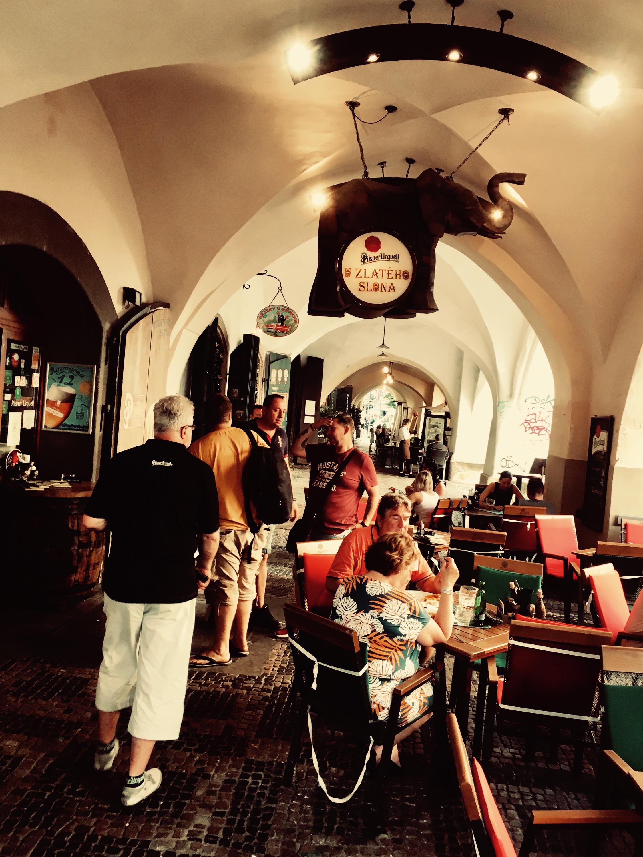 Pivnice U Zlatého slona foto 5