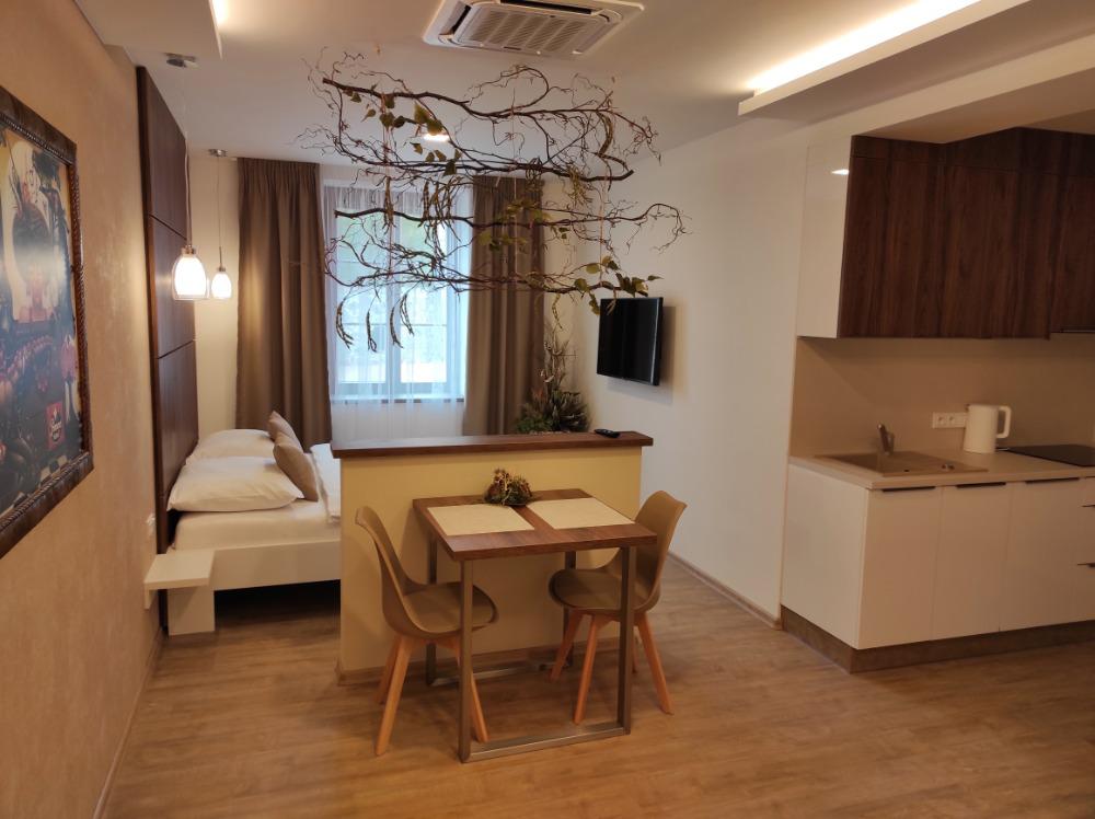Apartmány Na Vyhlídce s.r.o. foto 3