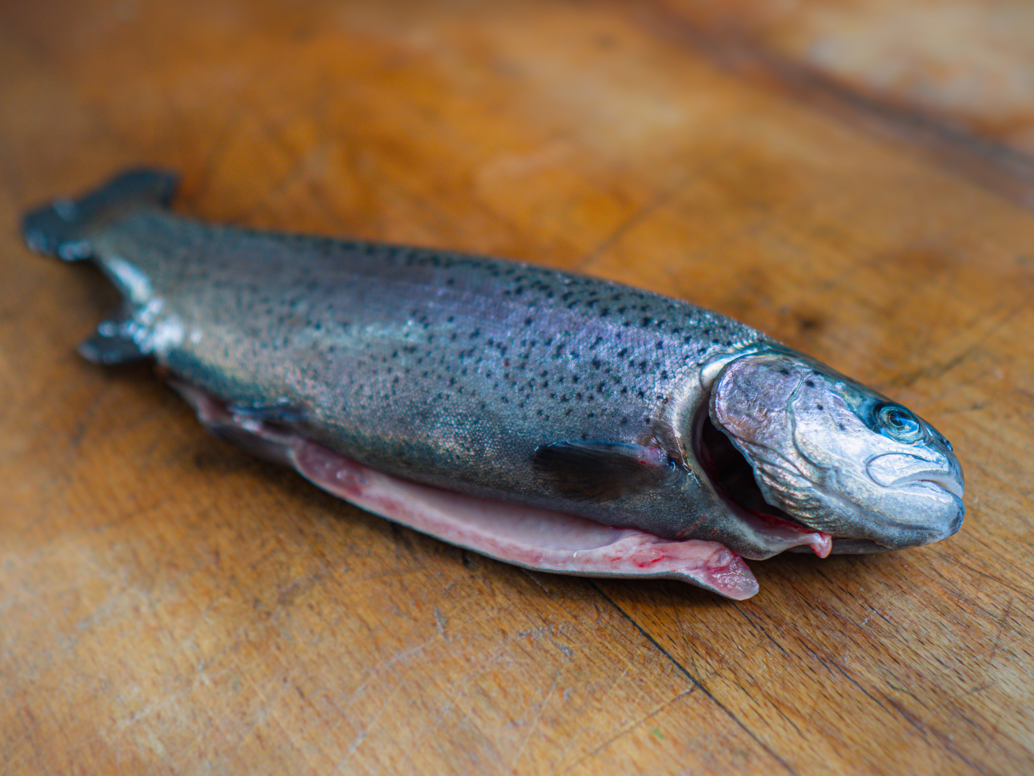 Prodejna ryb Bc. Pavel Válek, DiS. foto 2