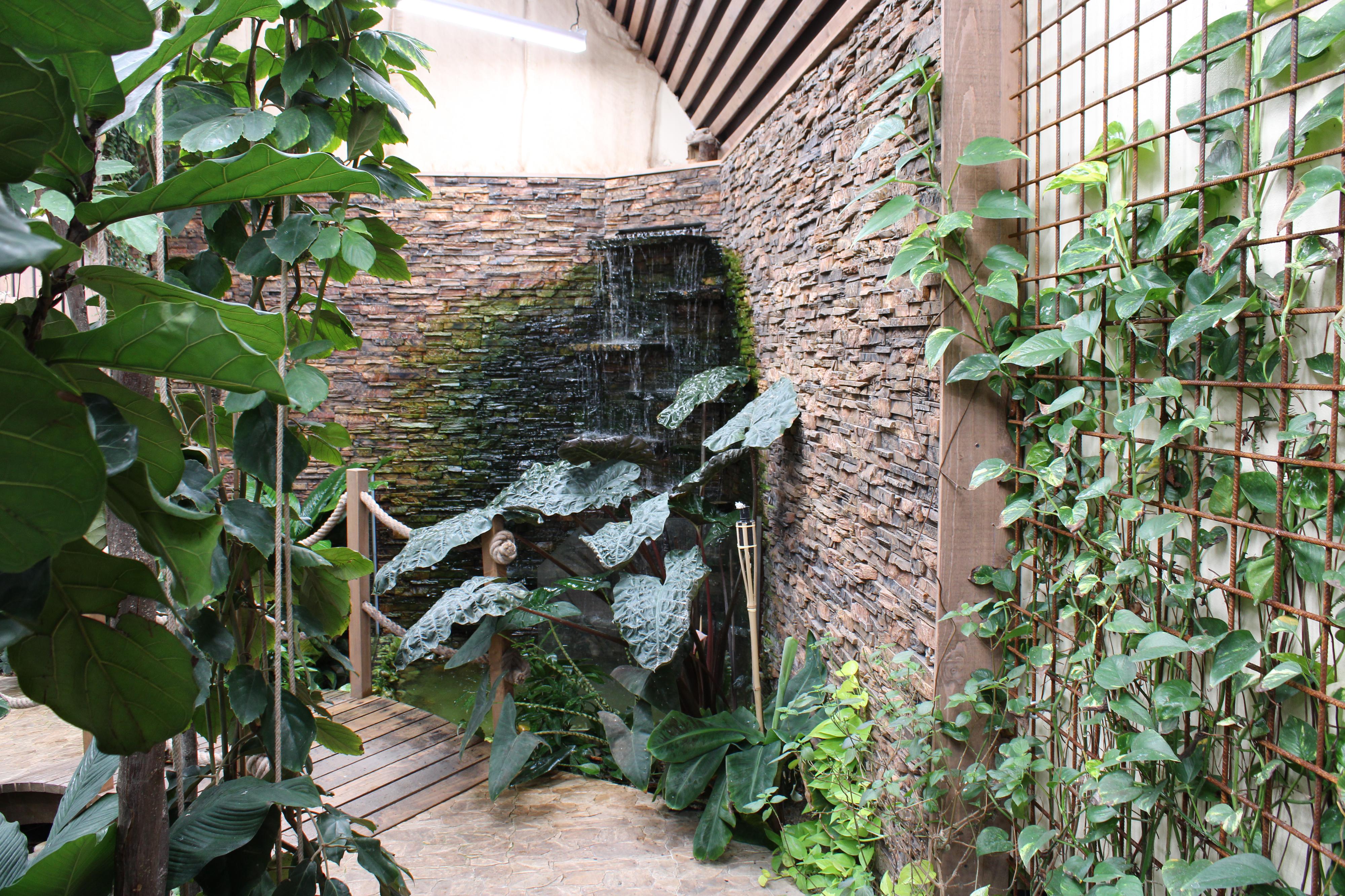 Papilonia – motýlí dům Brno foto 5