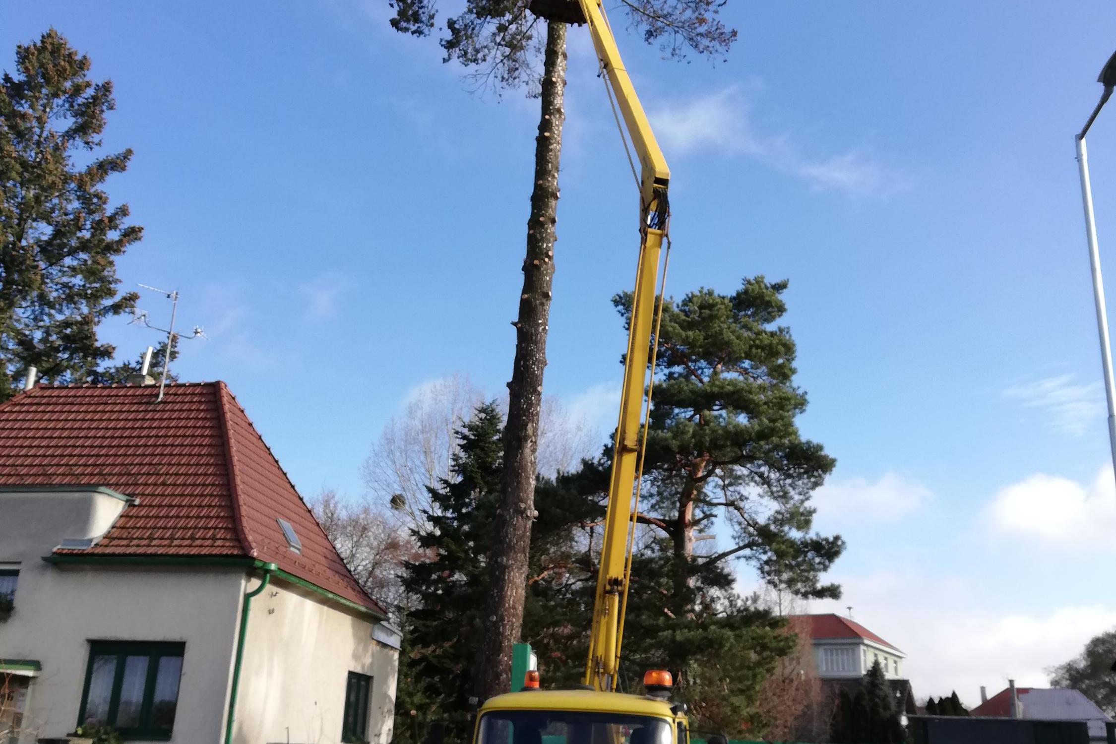 Práce s vysokozdvižnou plošinou - Oldřich Kachyňa