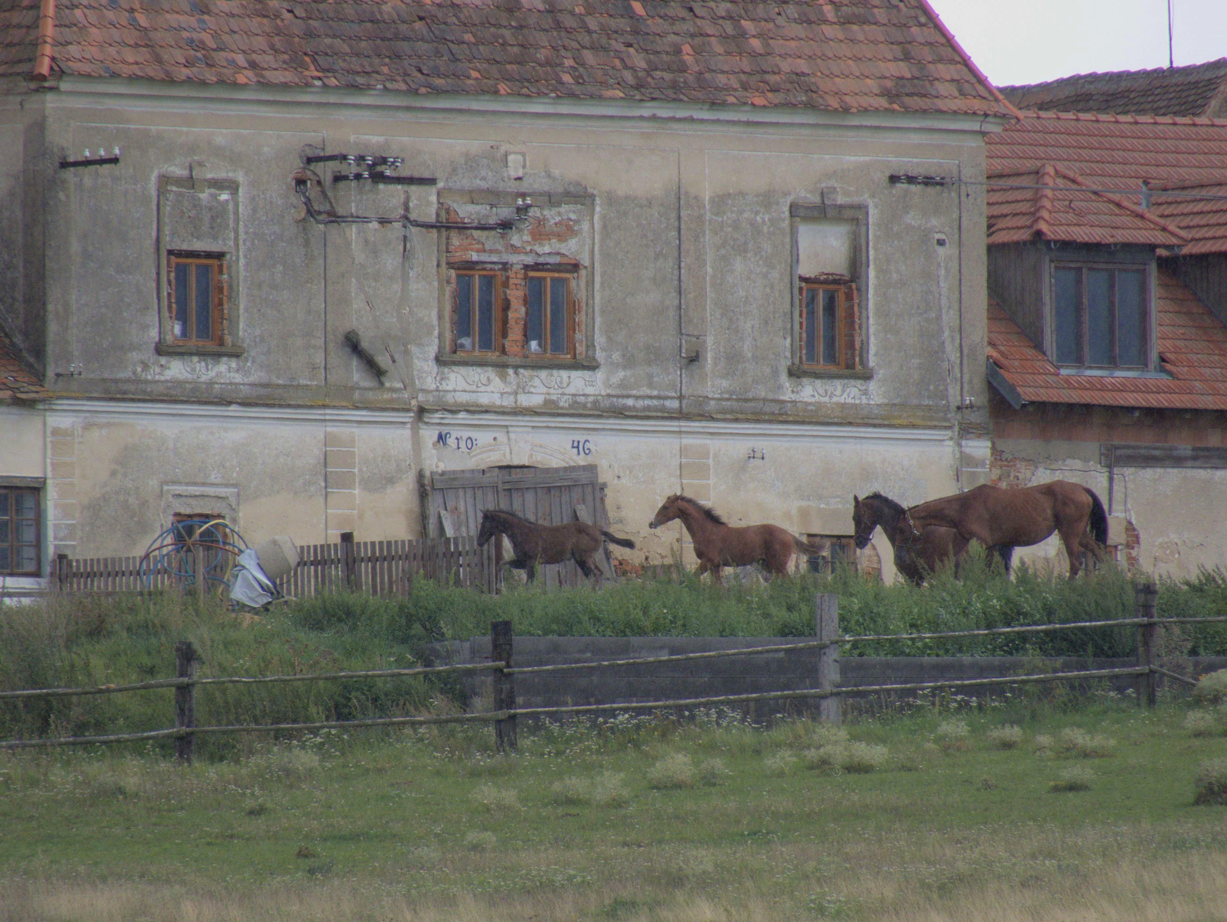 Pavlický dvůr foto 6