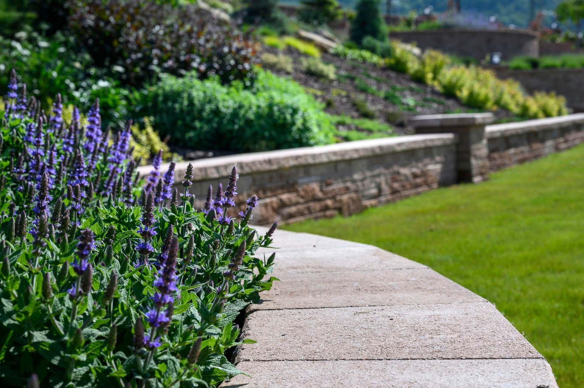 Park inspirace CS-BETON foto 3