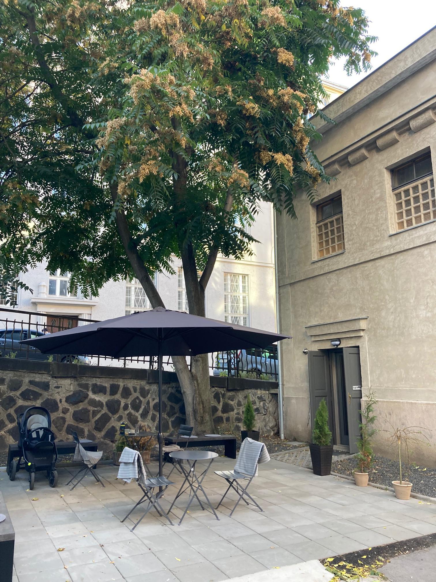 Galerie 400 ASA foto 2