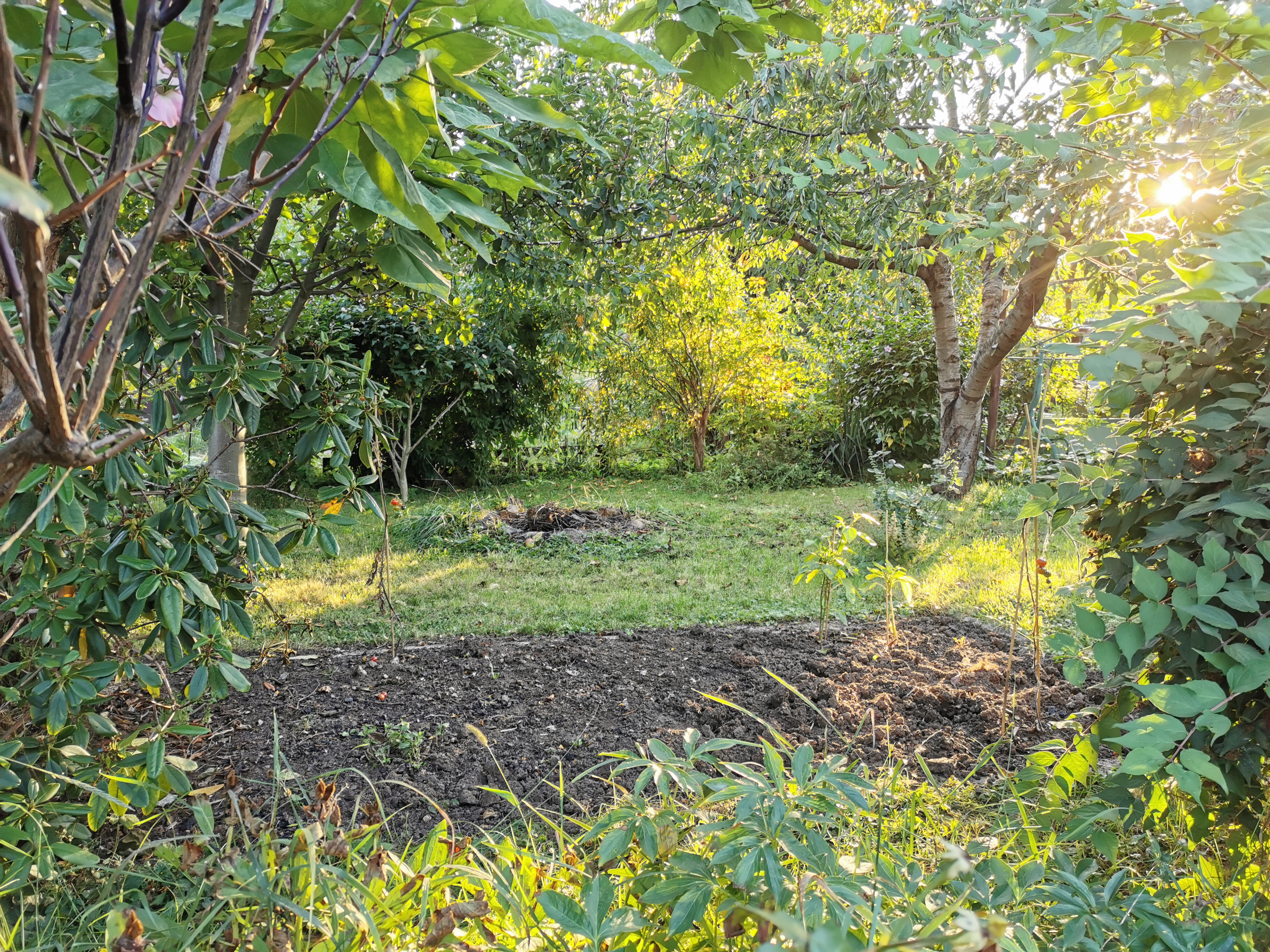 Zahrádkářský spolek Střížkov foto 3