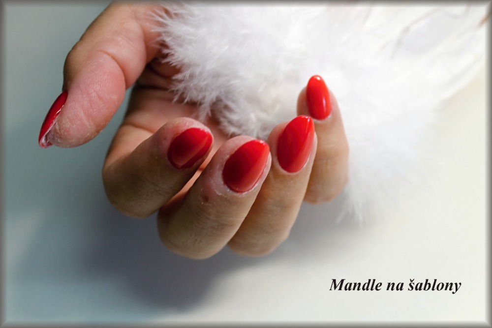Nail Art - kurzy nehtové modeláže Mileny Čočkové foto 3