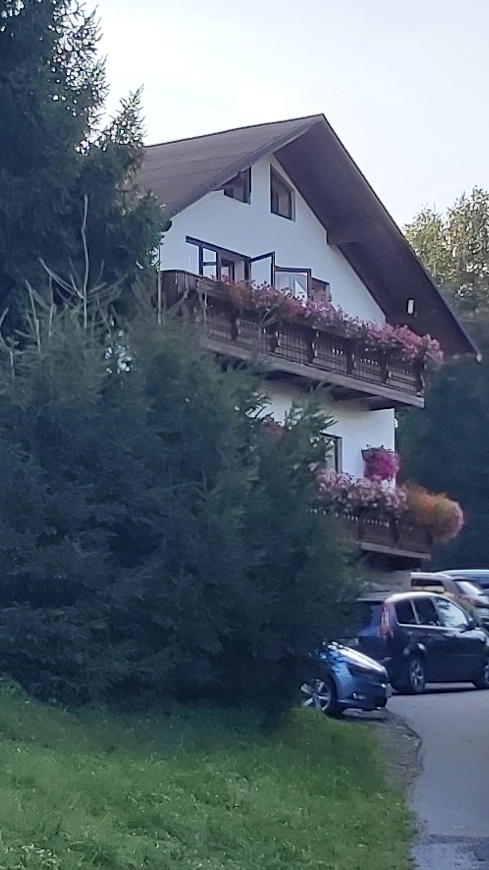 Ubytování Petrovičky foto 6