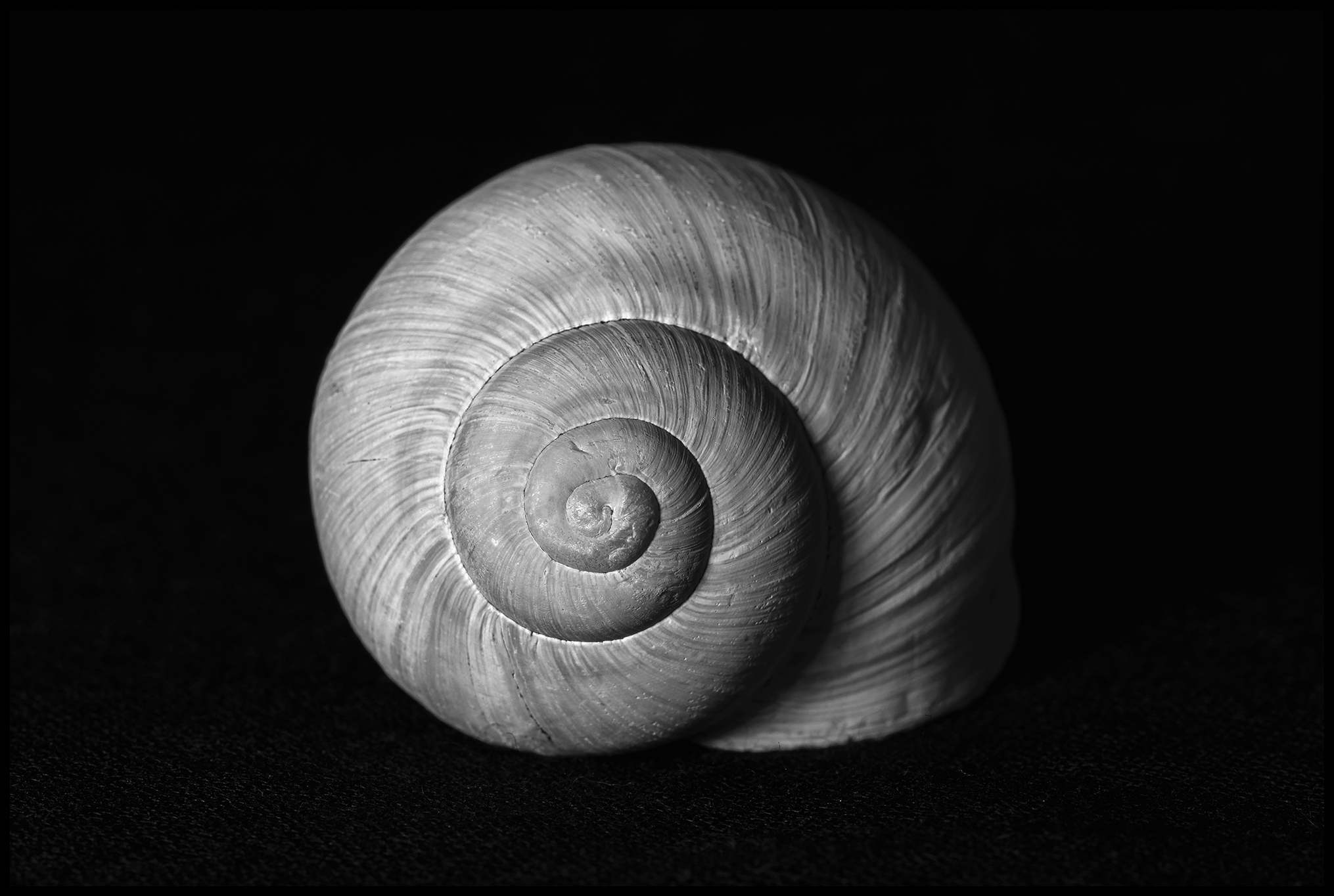 Fotograf Martin Vorel foto 4