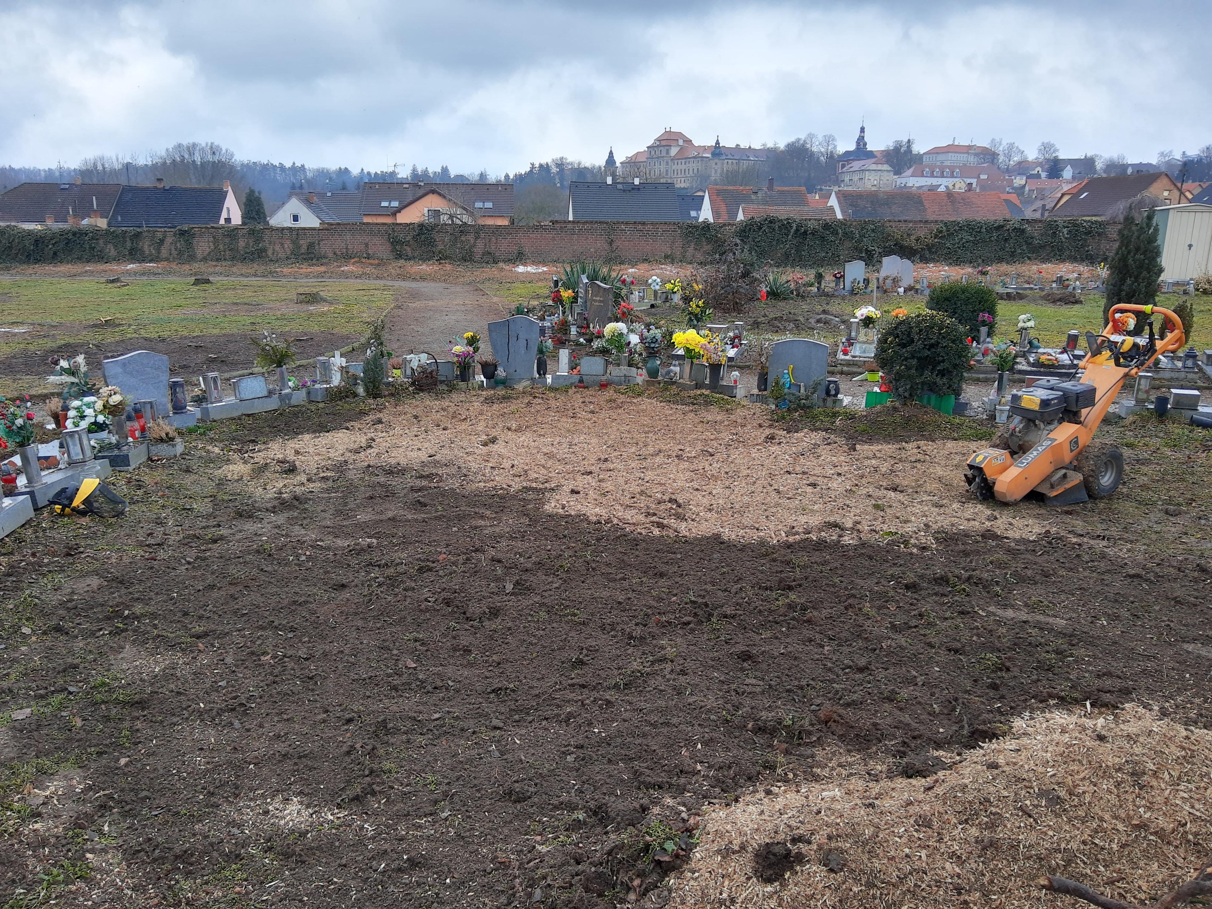 Odstraňujemepařezy.cz foto 5