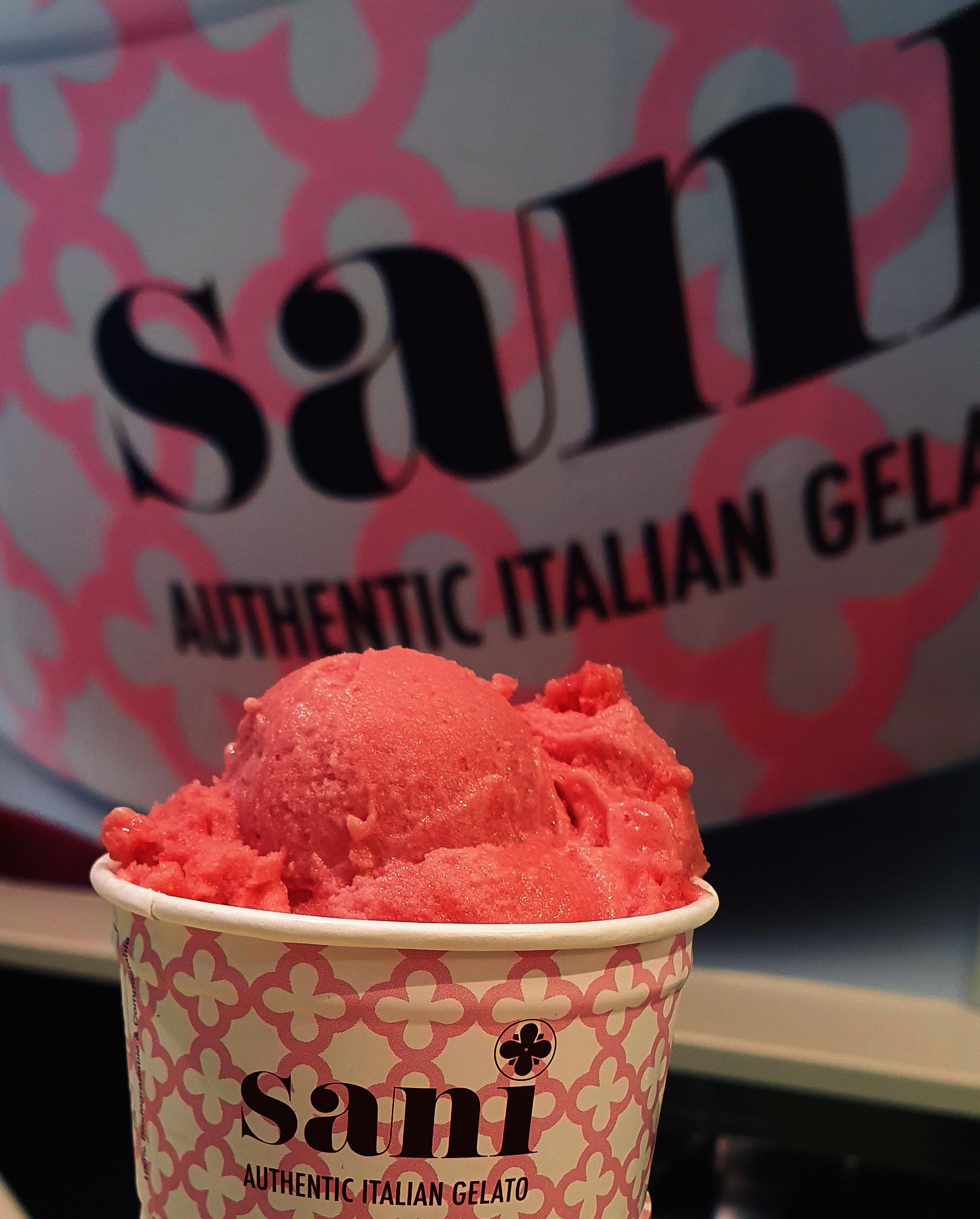 SANIGELATO, s.r.o. foto 6