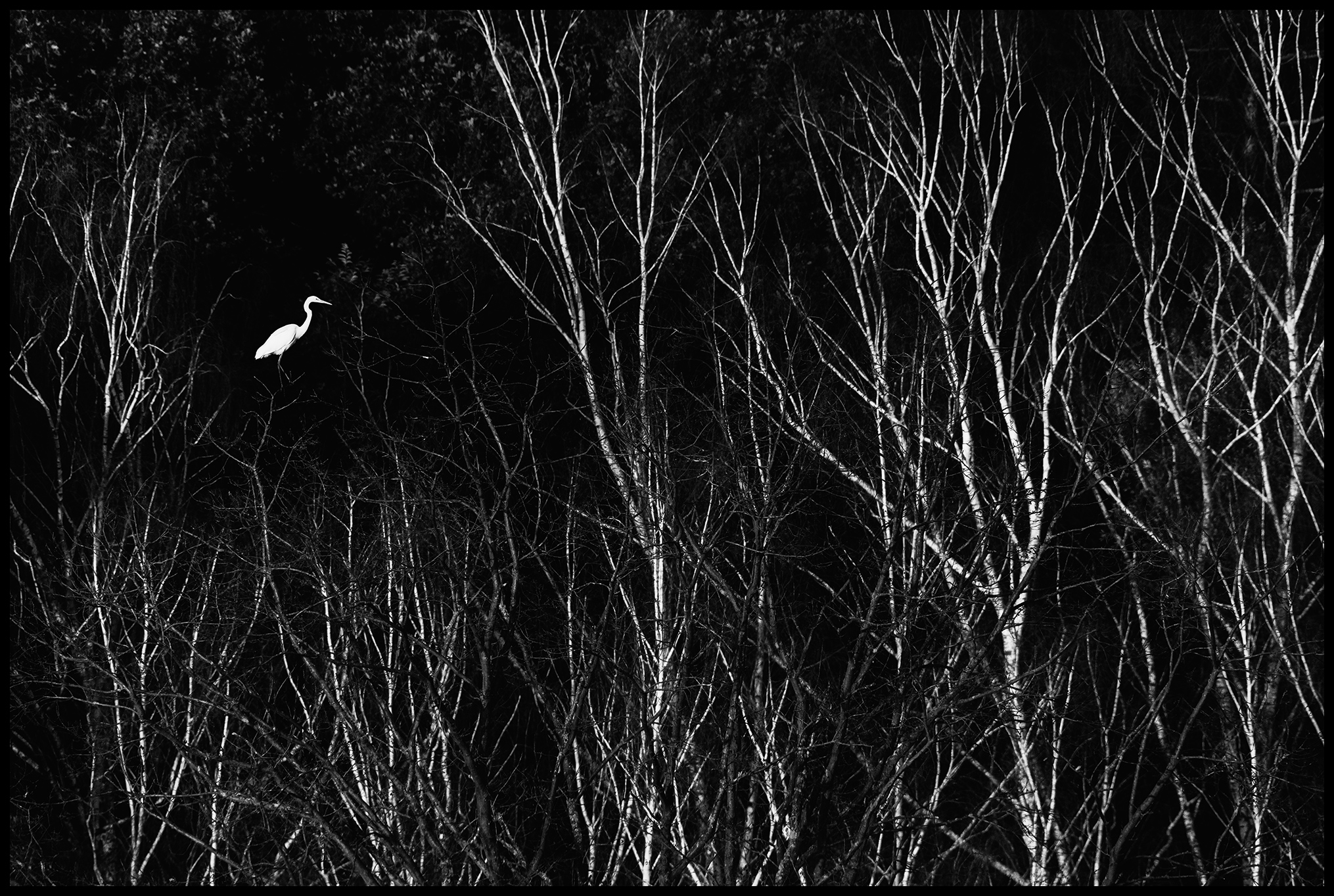 Fotograf Martin Vorel foto 3