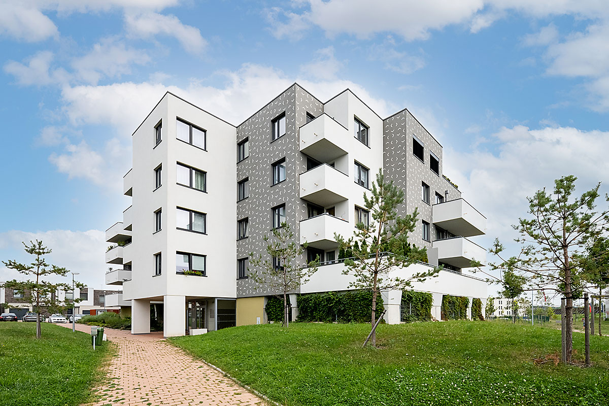 Coop Development, družstvo foto 1