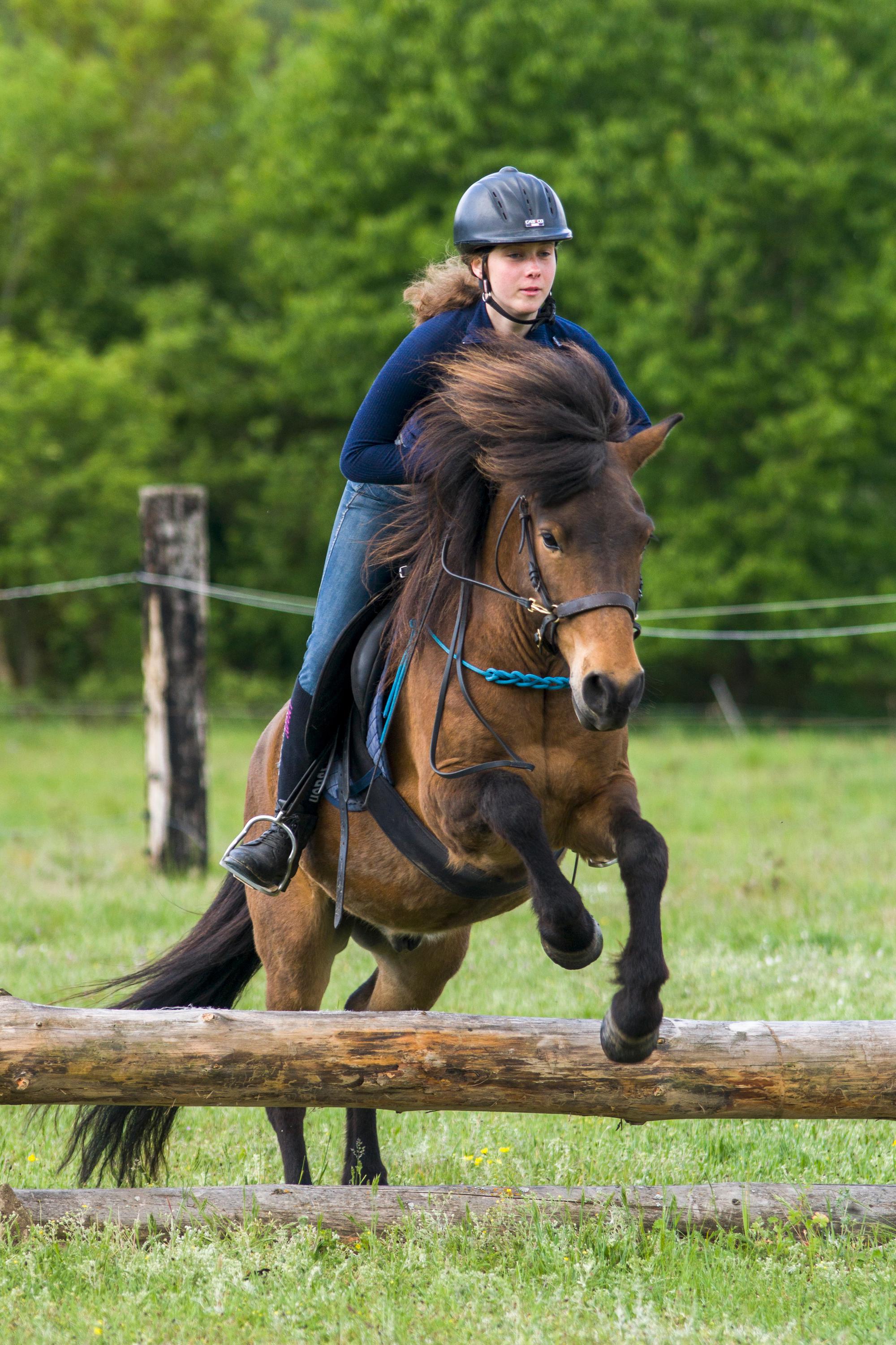 Vikinghorse Milevo foto 4