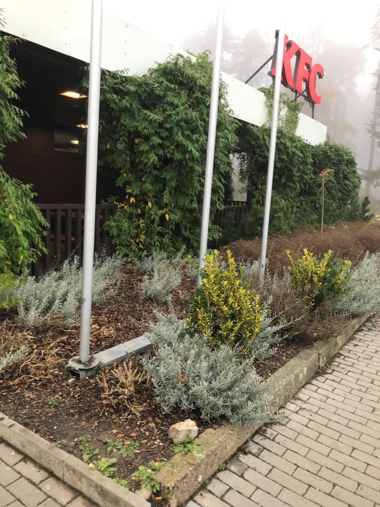 Nonstop Bar 9 křížů foto 4