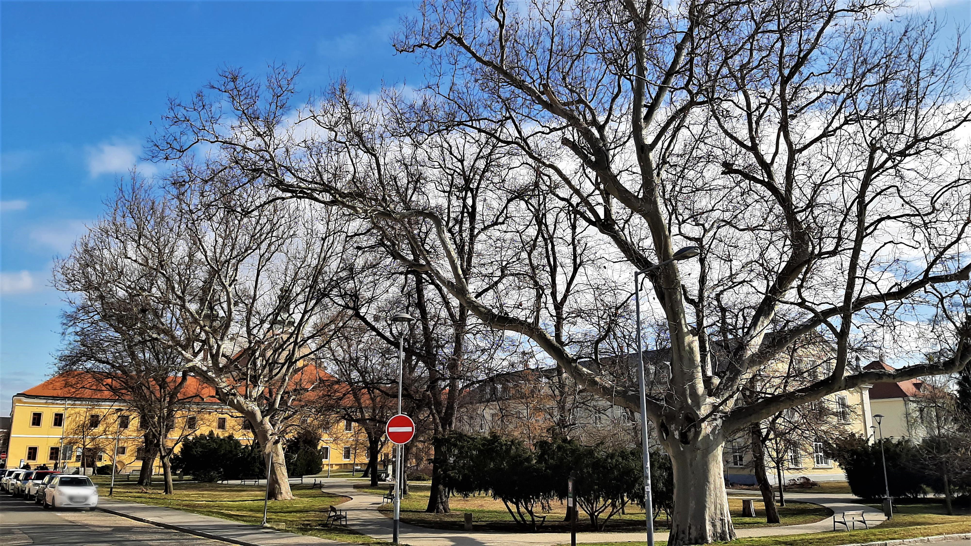 Městské informační centrum Uherské Hradiště foto 5