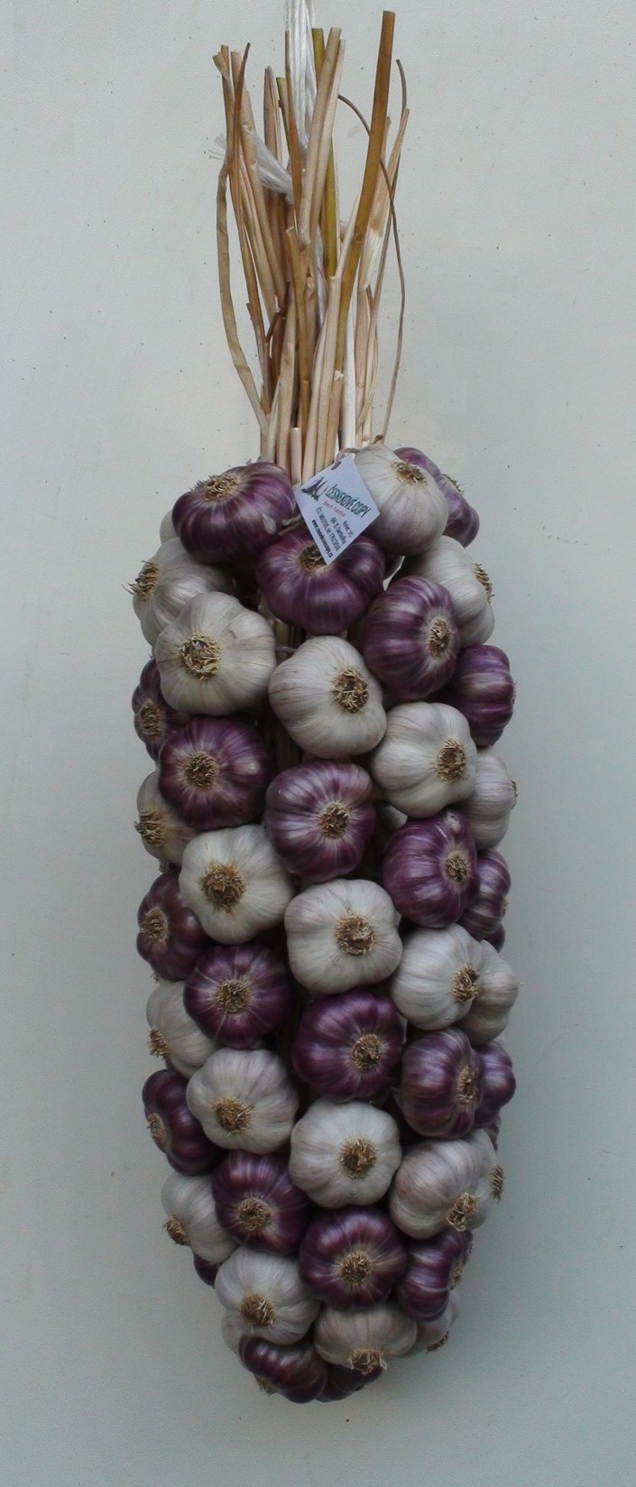 Česnekové copy Emerich Kratochvil foto 2