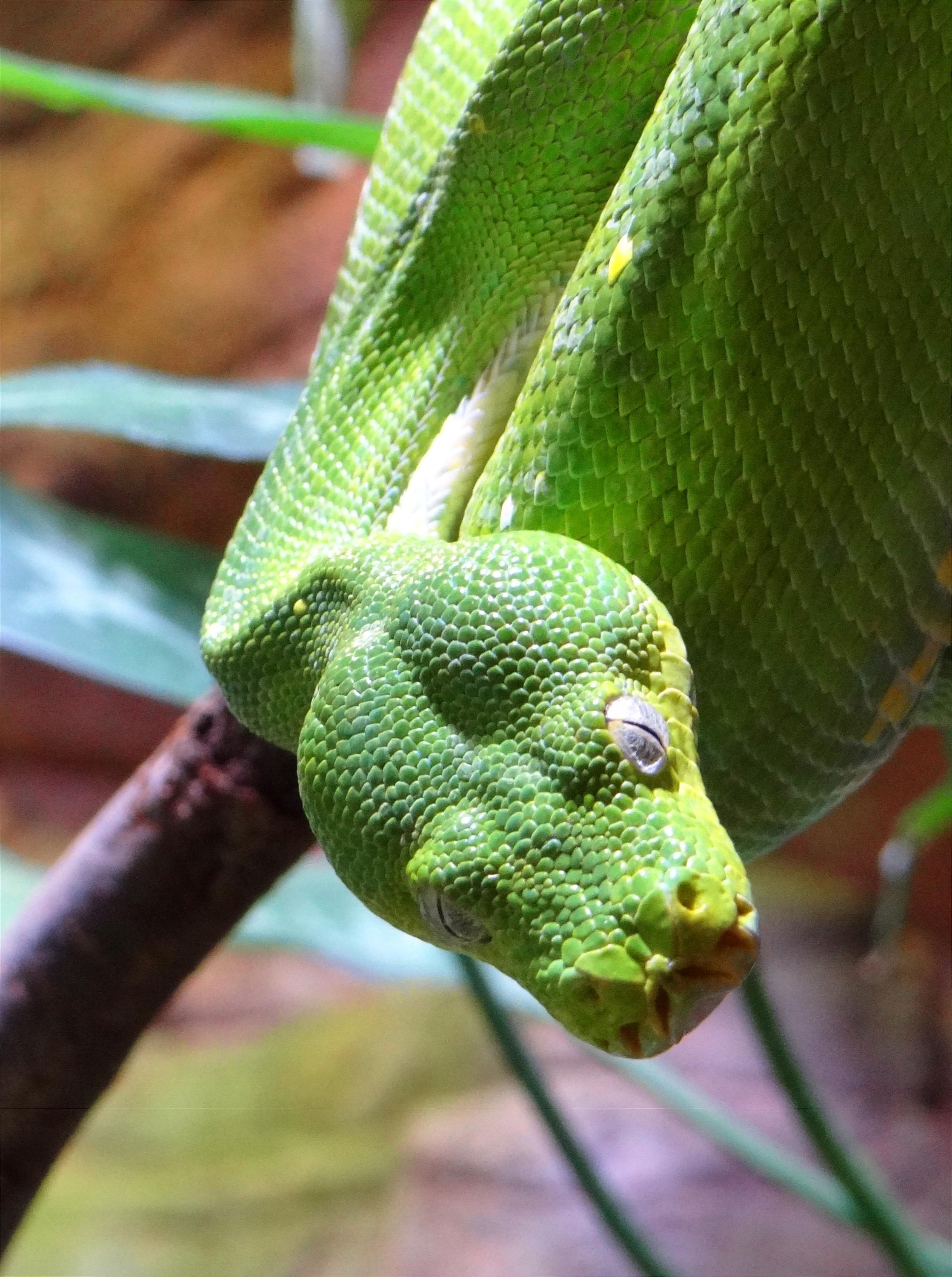Akva Tera Zoo Plzeň foto 5