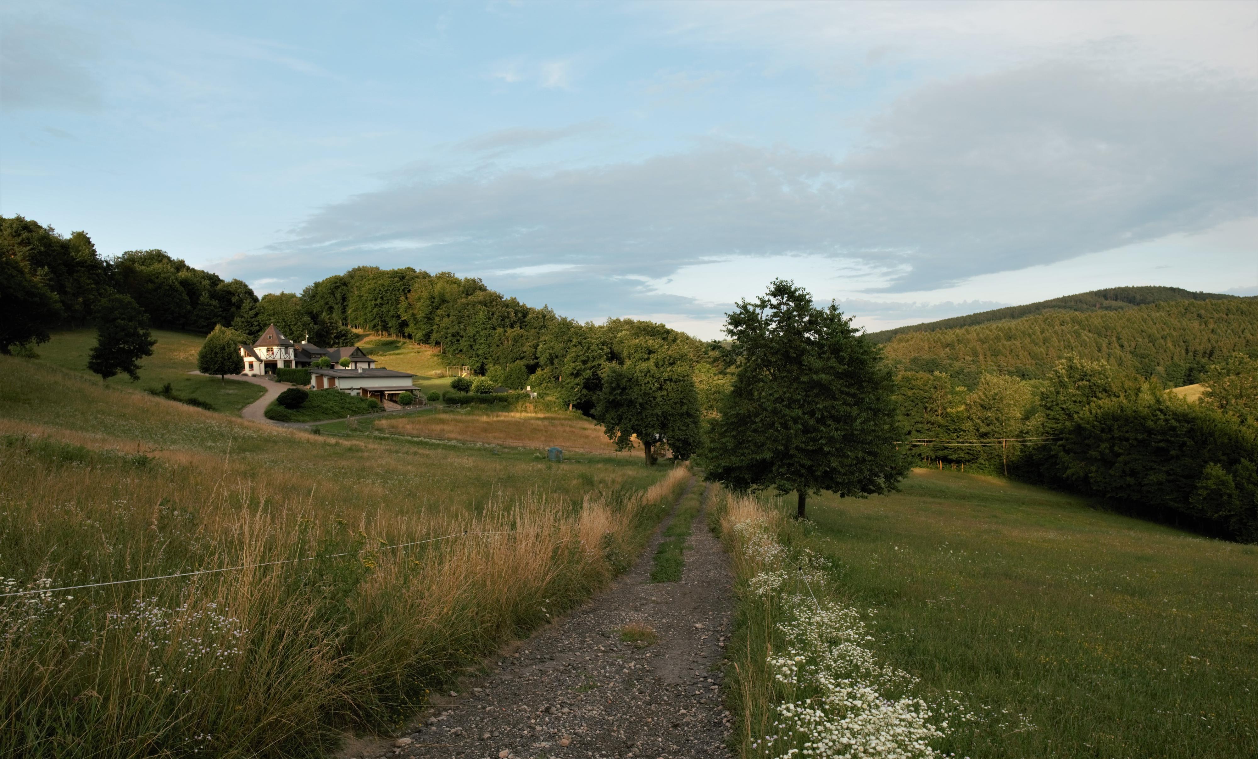 MEADOW RANCH foto 5