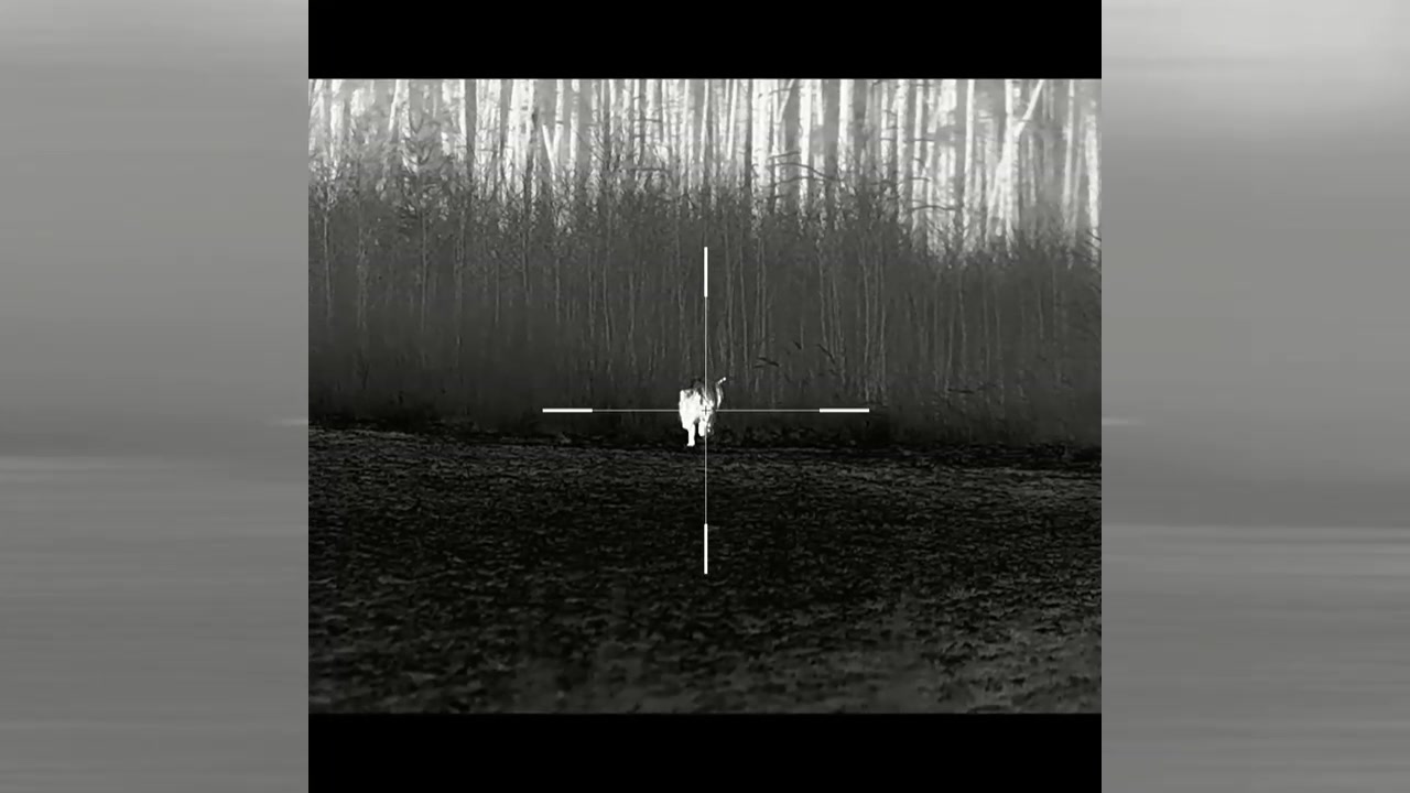 Lovecké potřeby PumaKnives foto 2 (náhled videa)