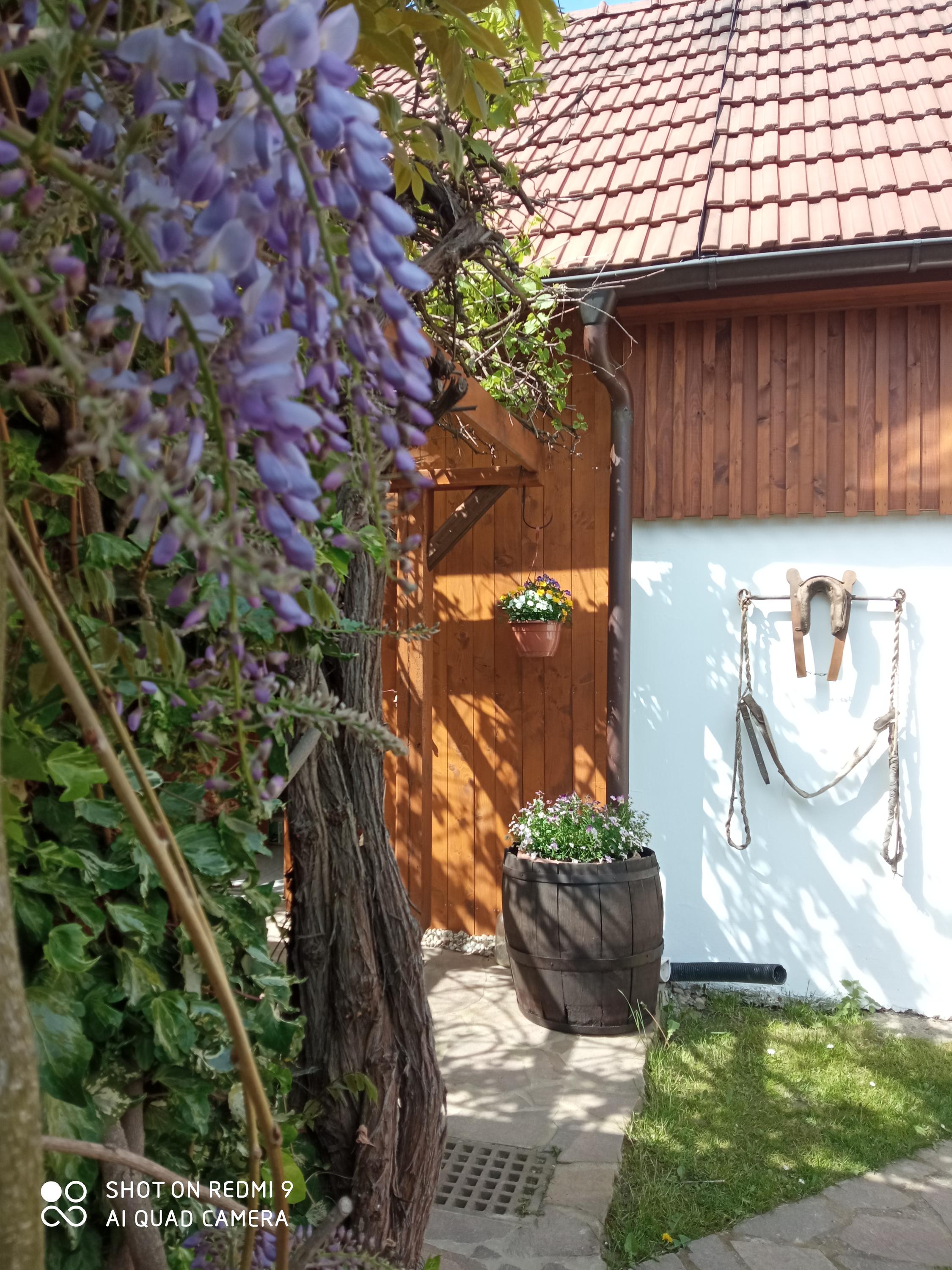 Pension Fanlor foto 6