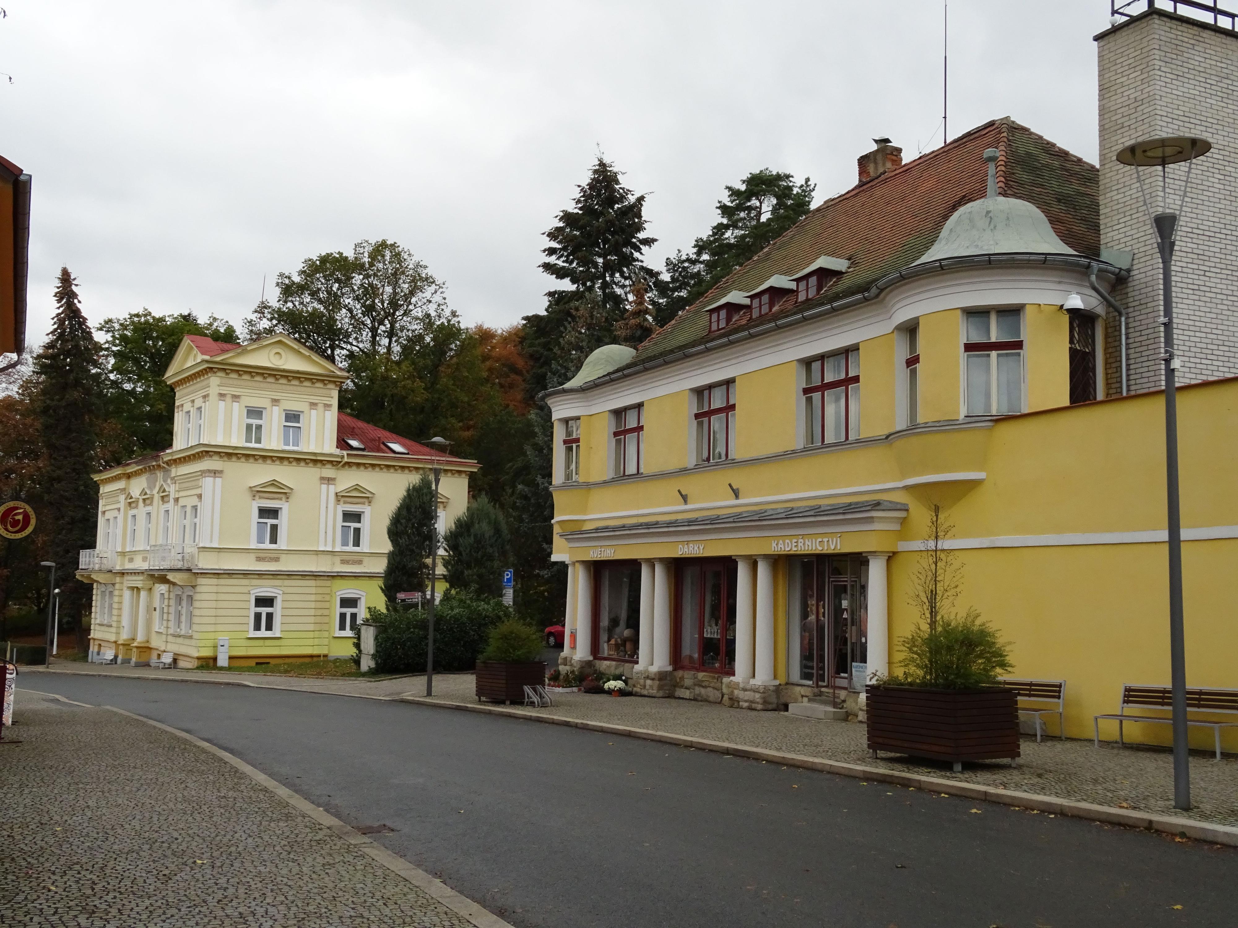 Lázeňský penzion Mánes foto 3