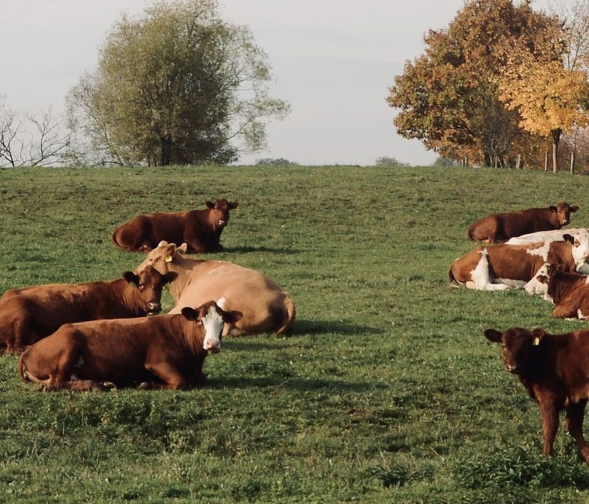 AGM servis, s.r.o. foto 2