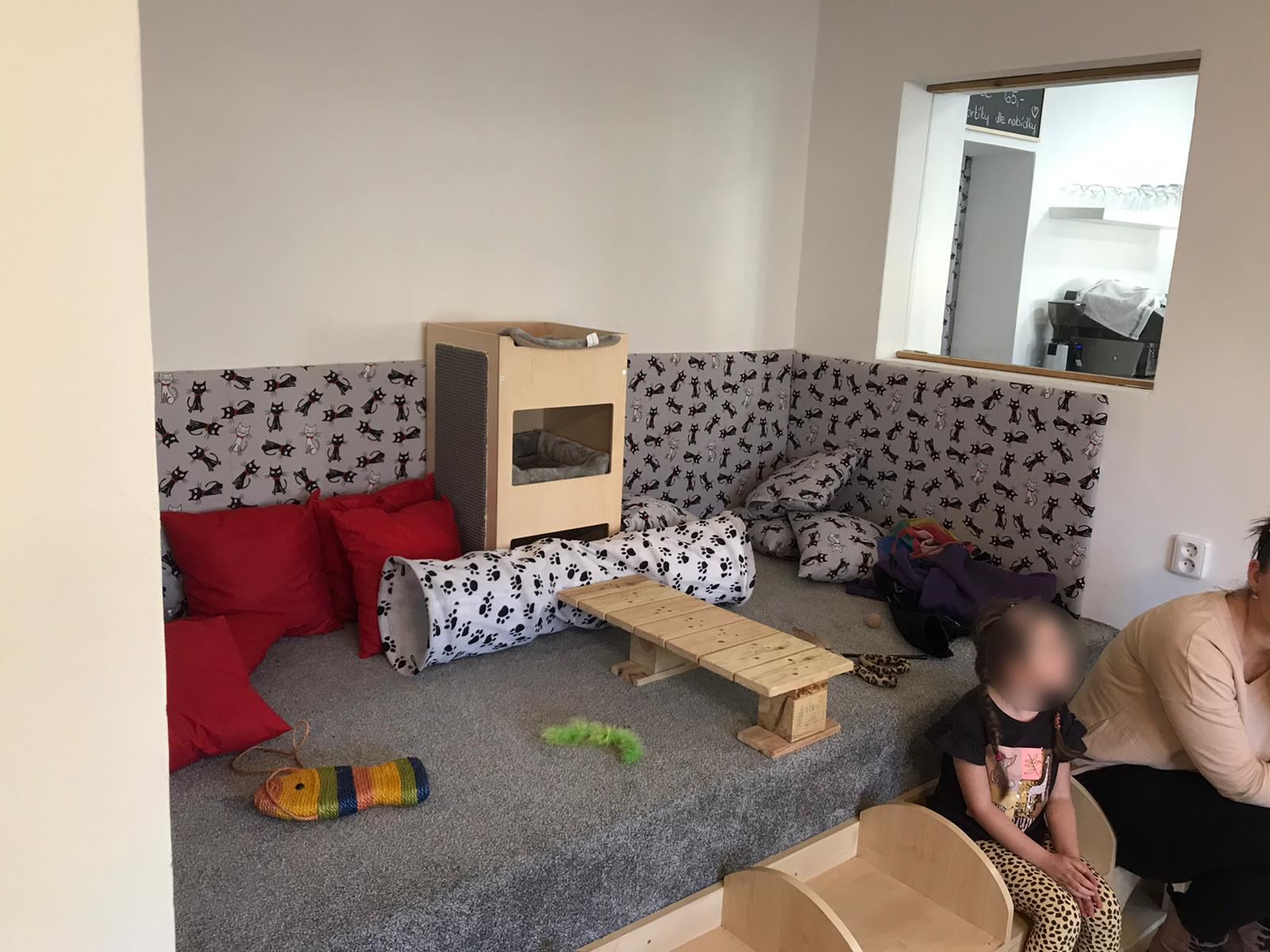 Kočičí Ráj - adopční kavárna foto 4